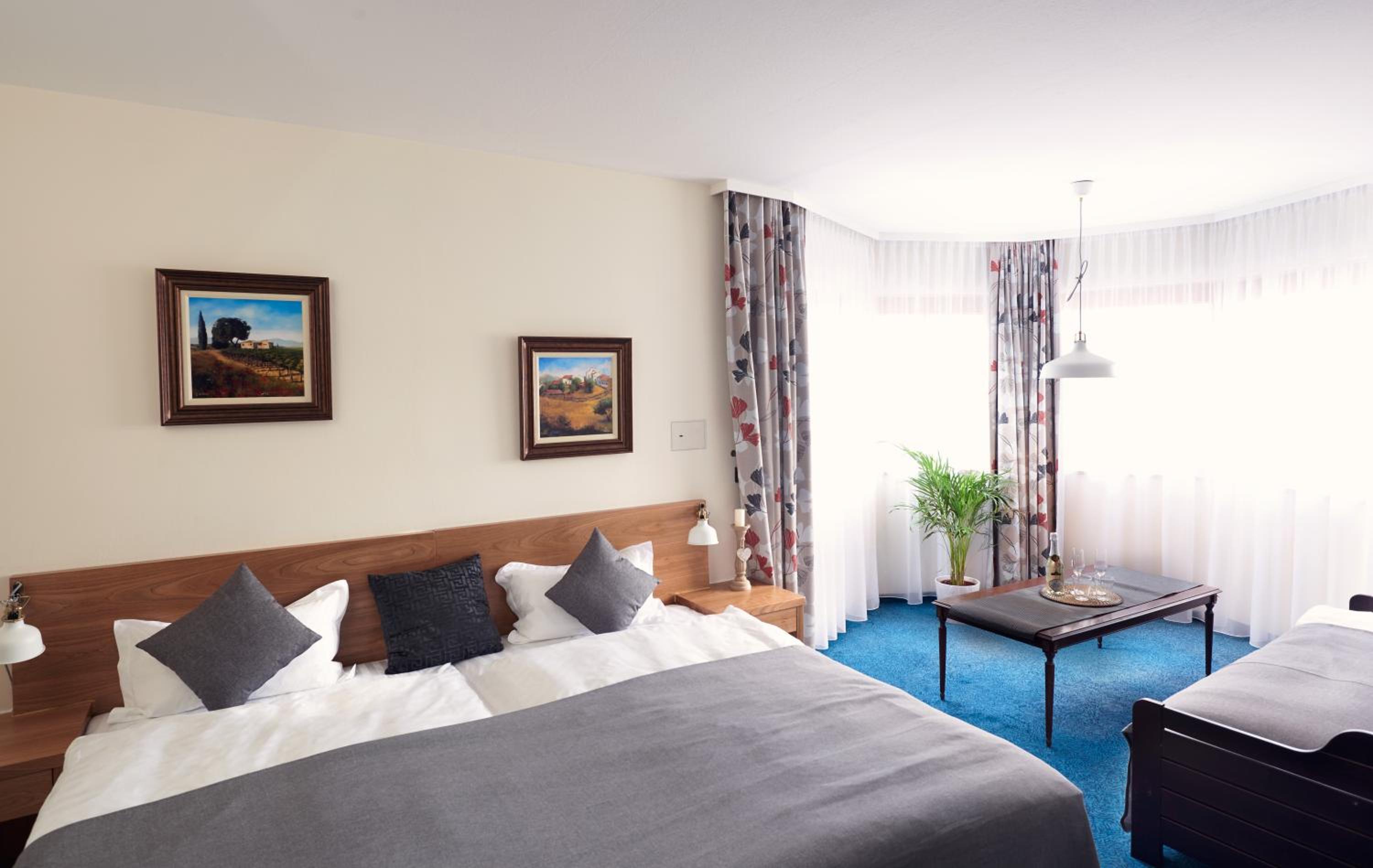 Double Room with Balcony South photo 1