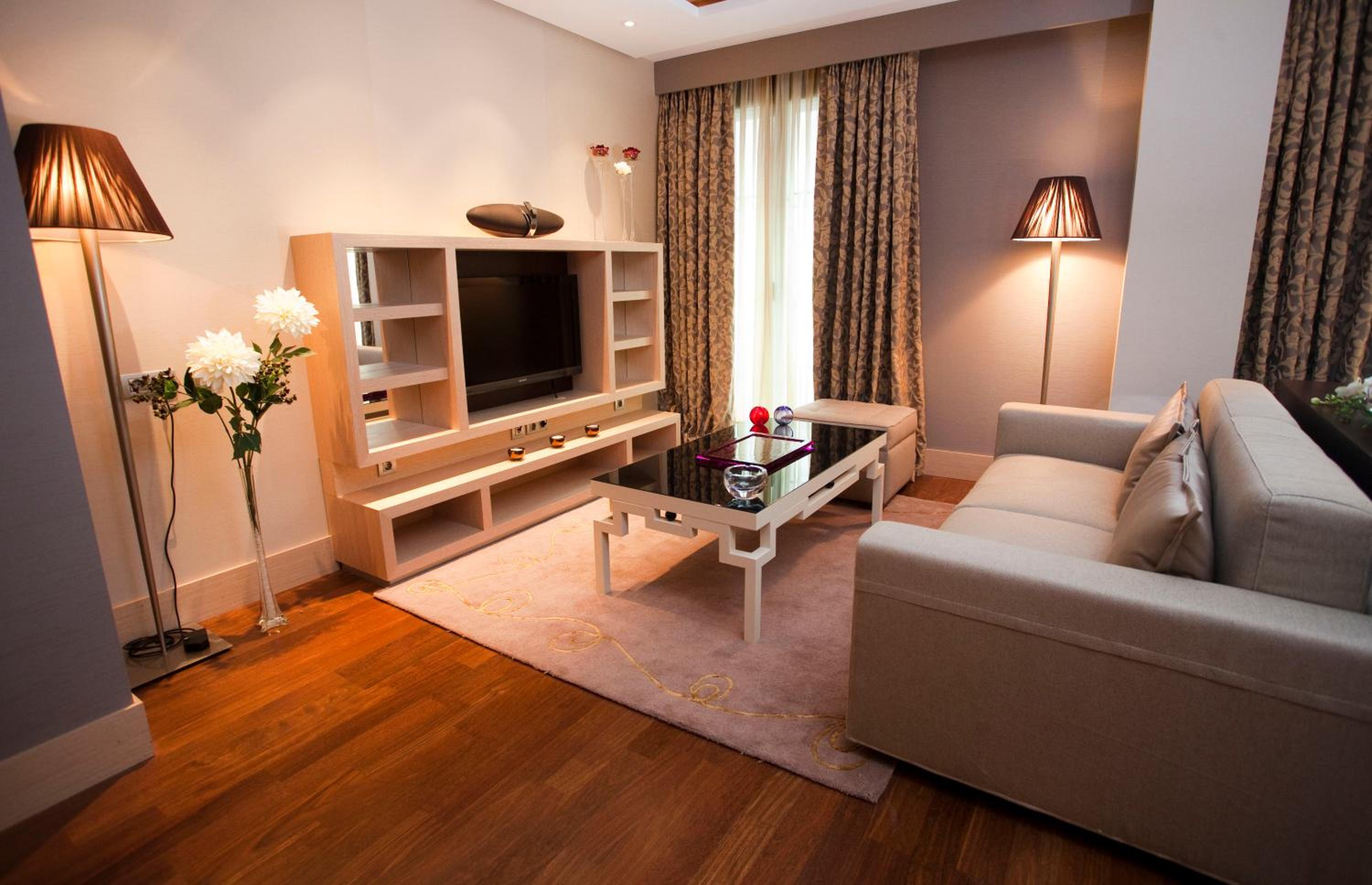 Premium Suite - Photo 7