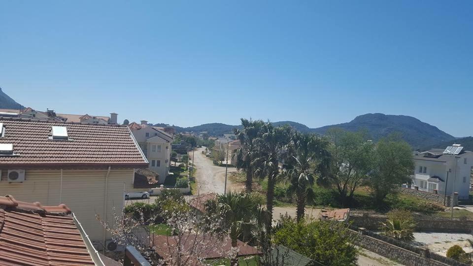 Apartment with Mountain View photo 2