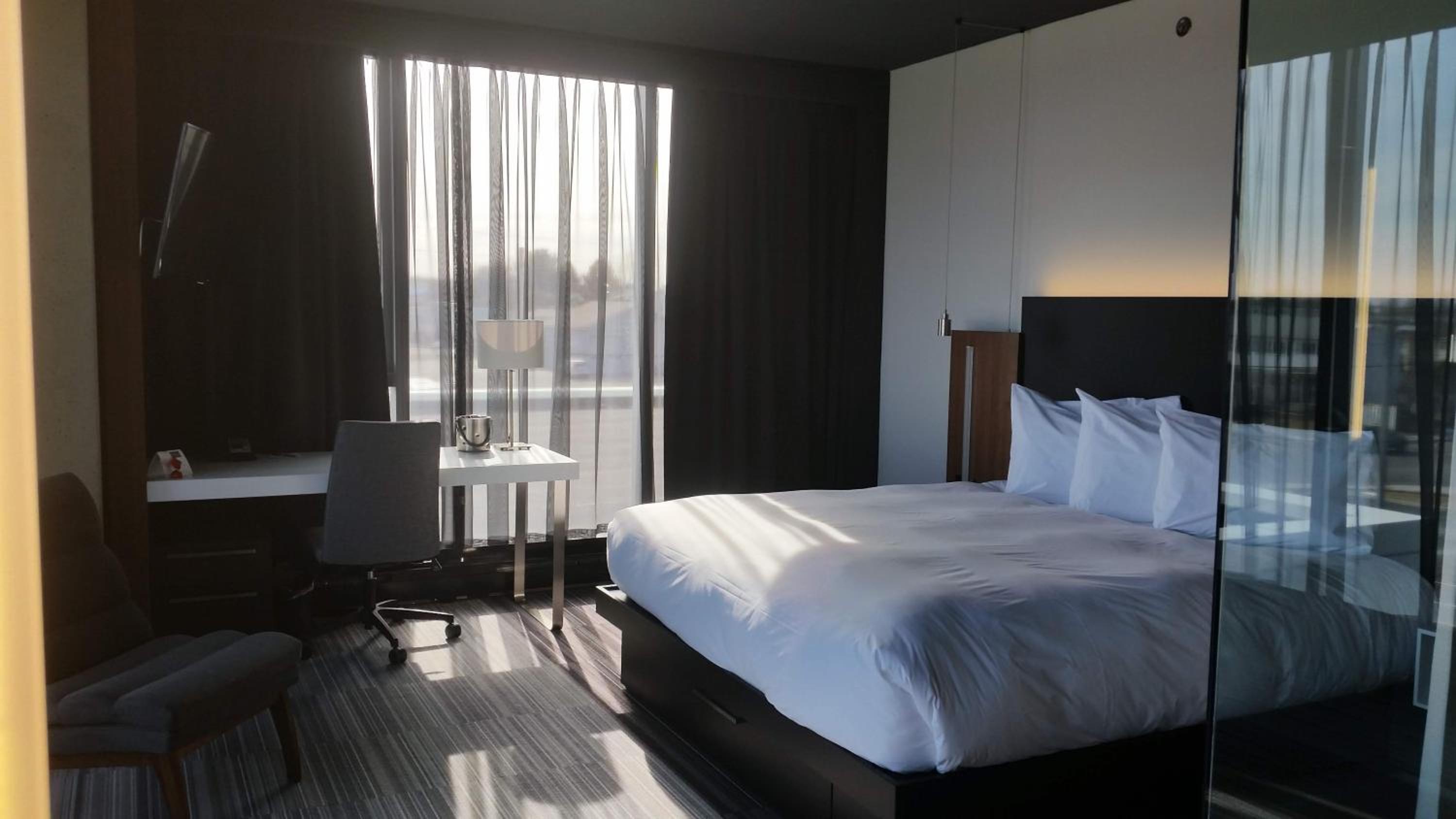 King Suite photo 2