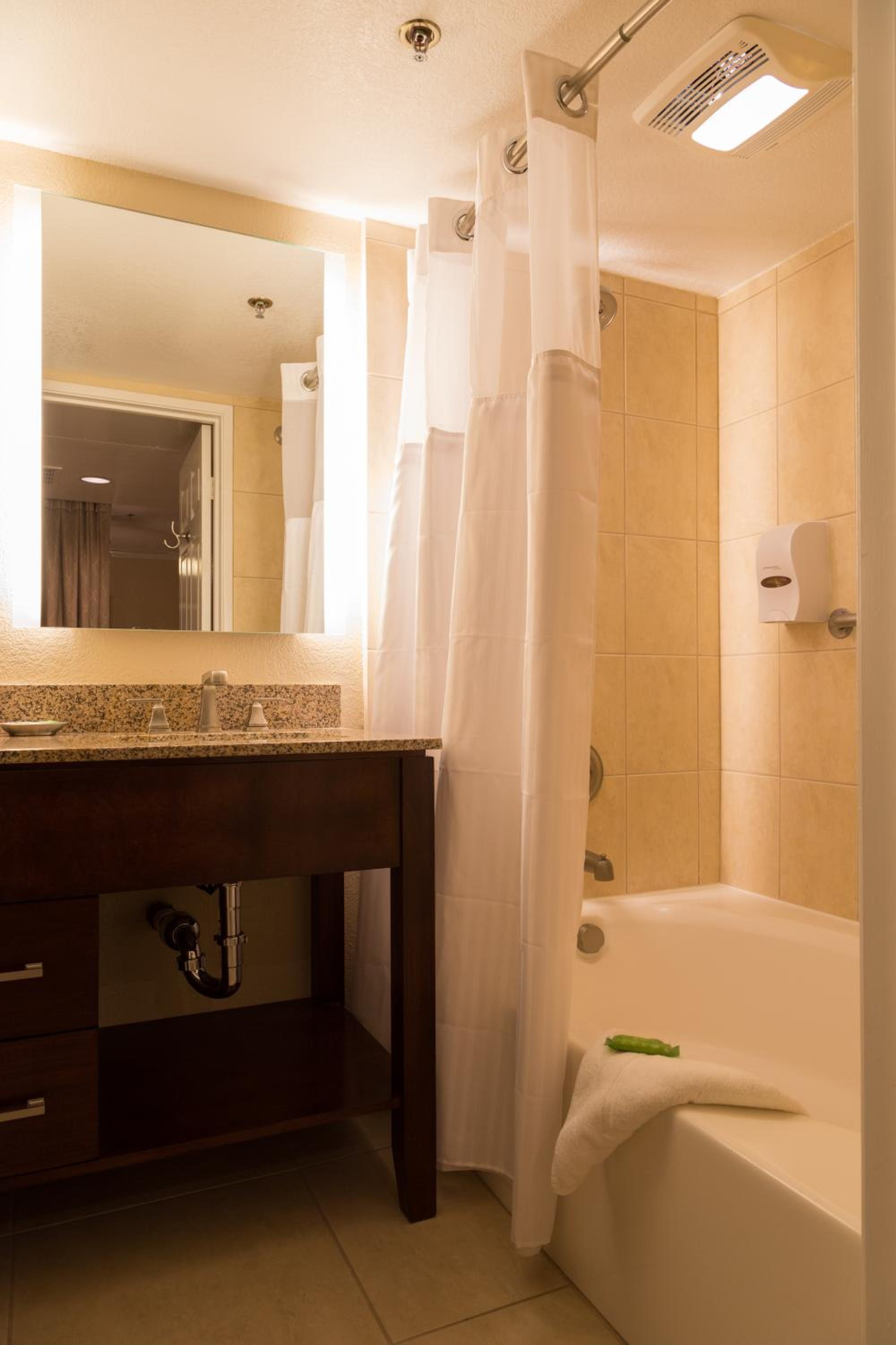 Studio Suite - Photo 2