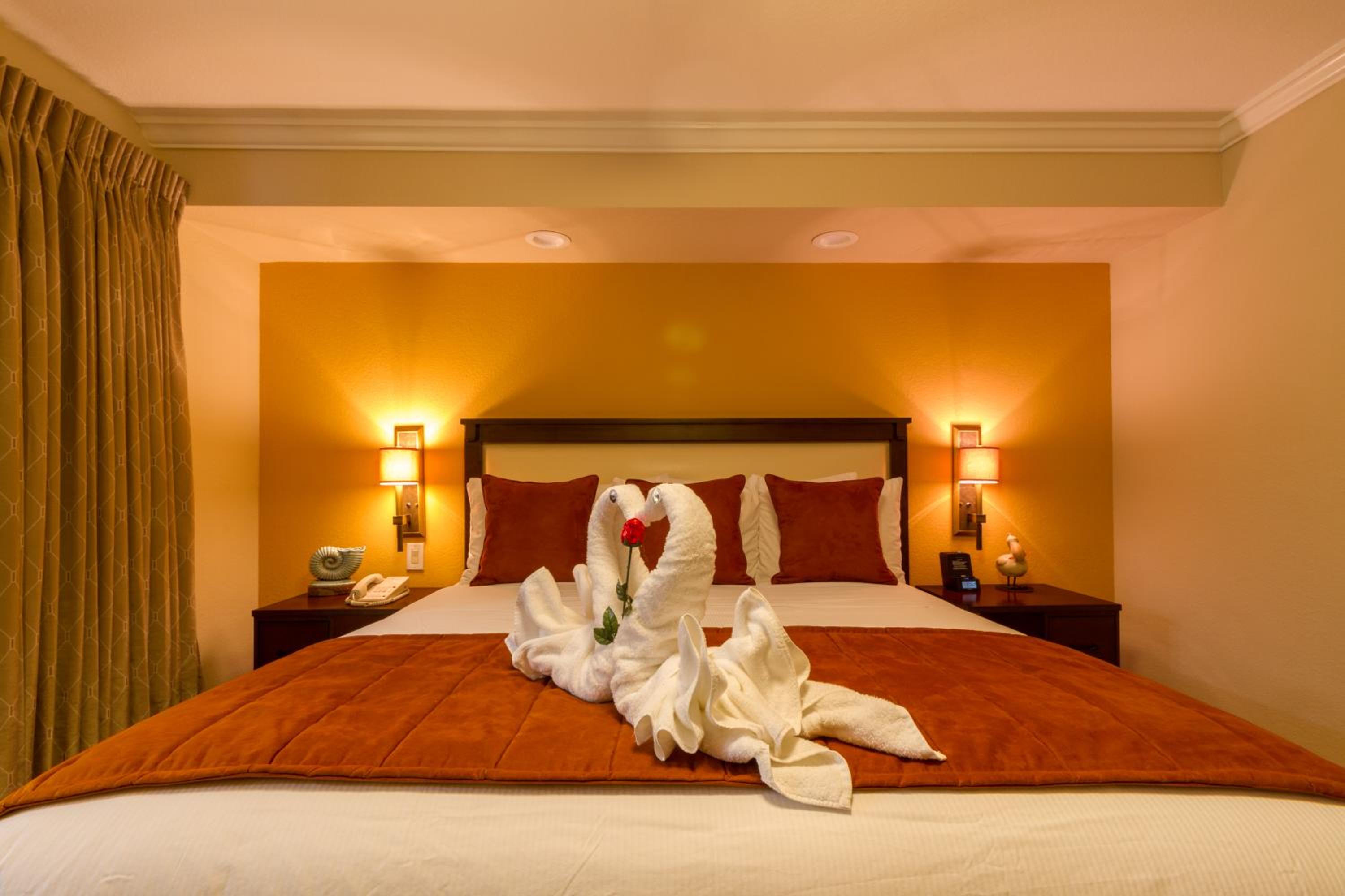 One-Bedroom Suite - Photo 1