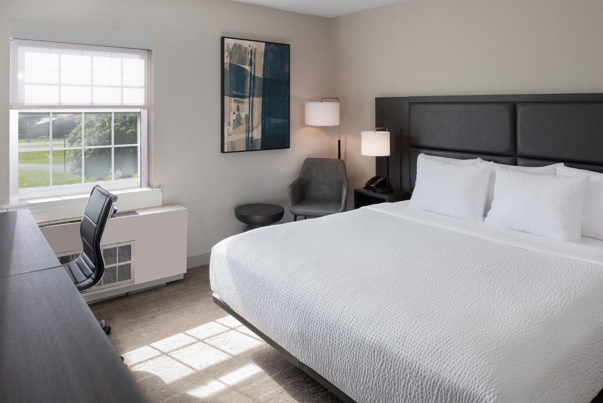One-Bedroom King Suite - Photo 5