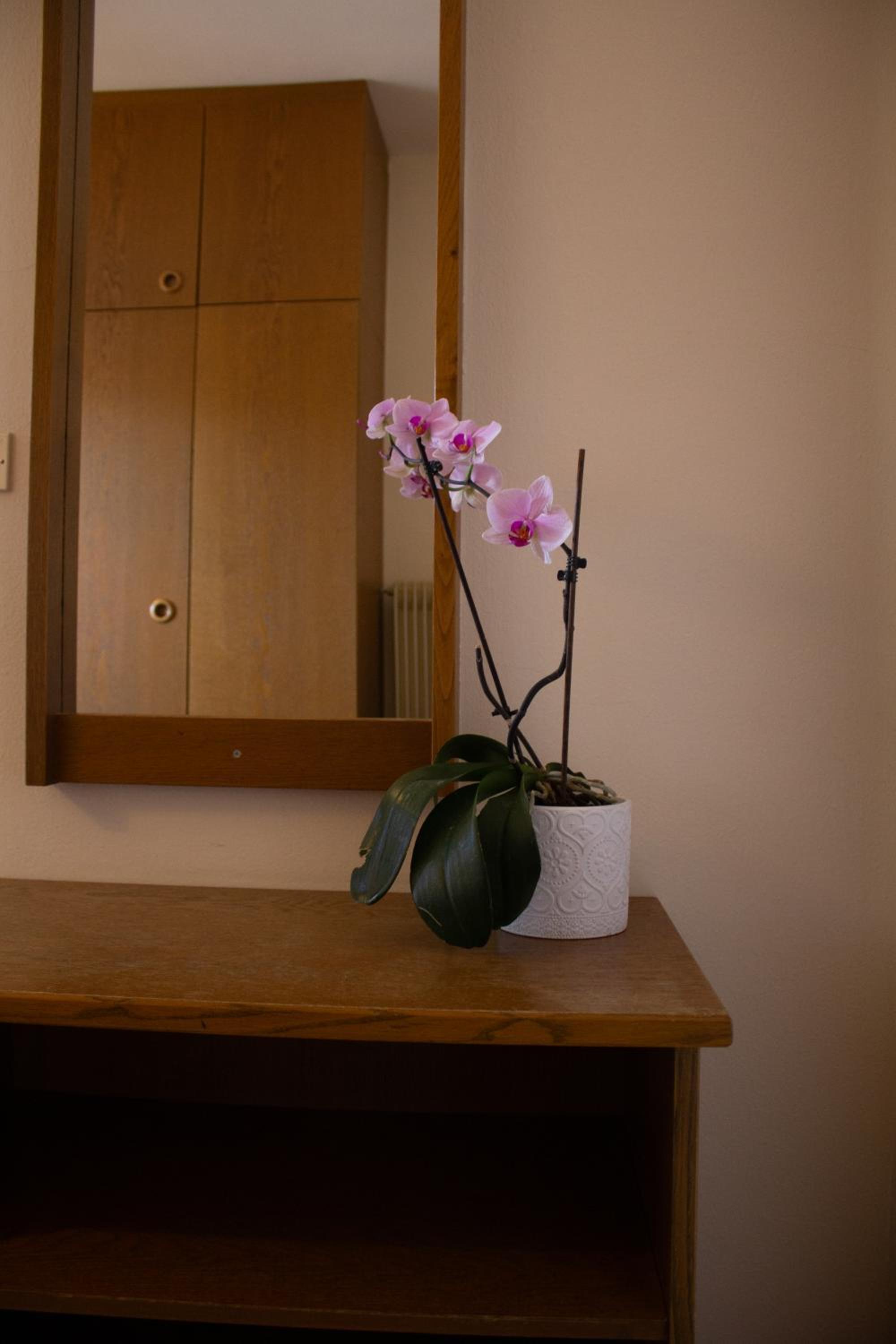 Standard Single Room with Mountain View photo 2