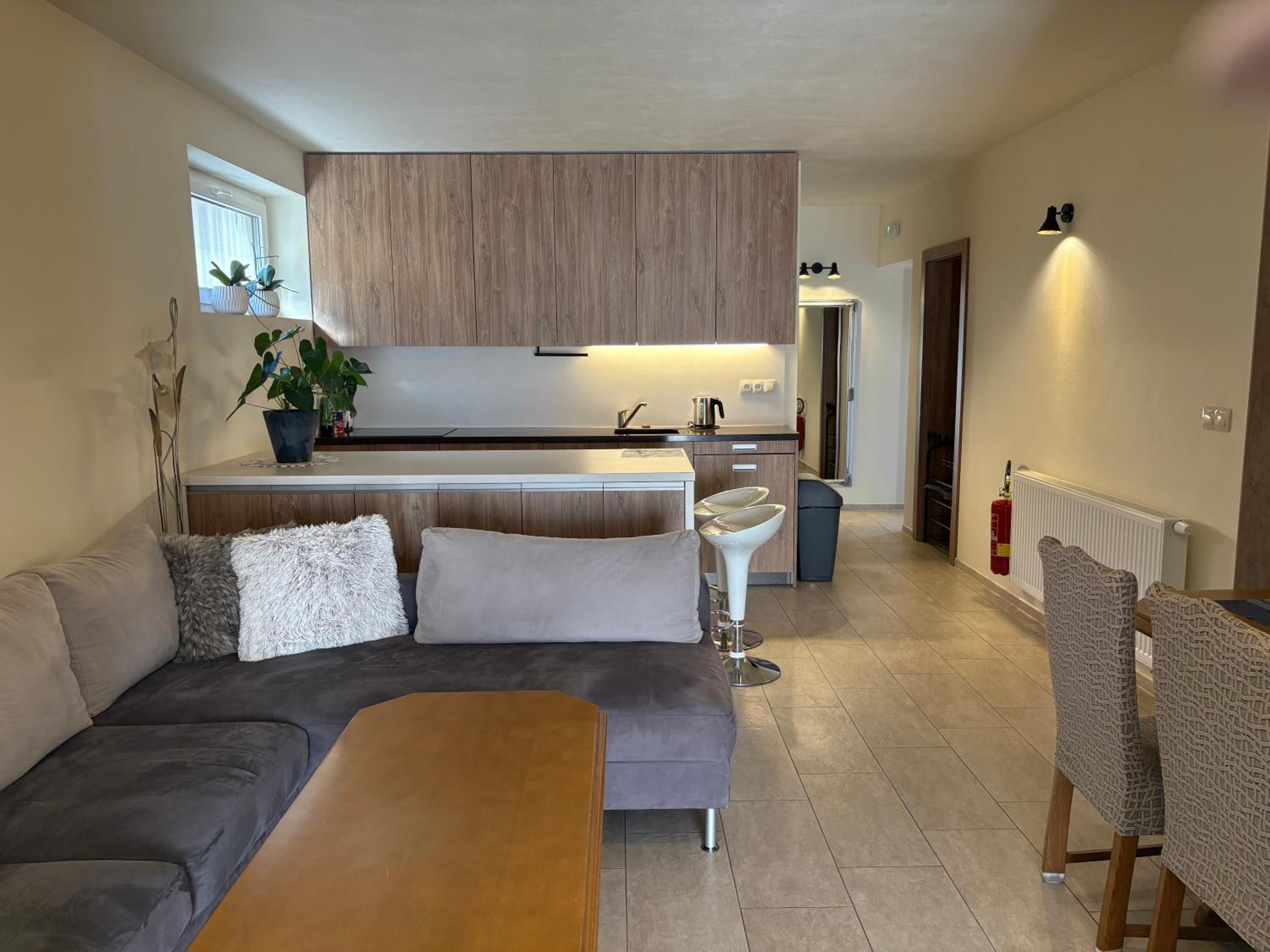 Suite Apartment - Photo 5