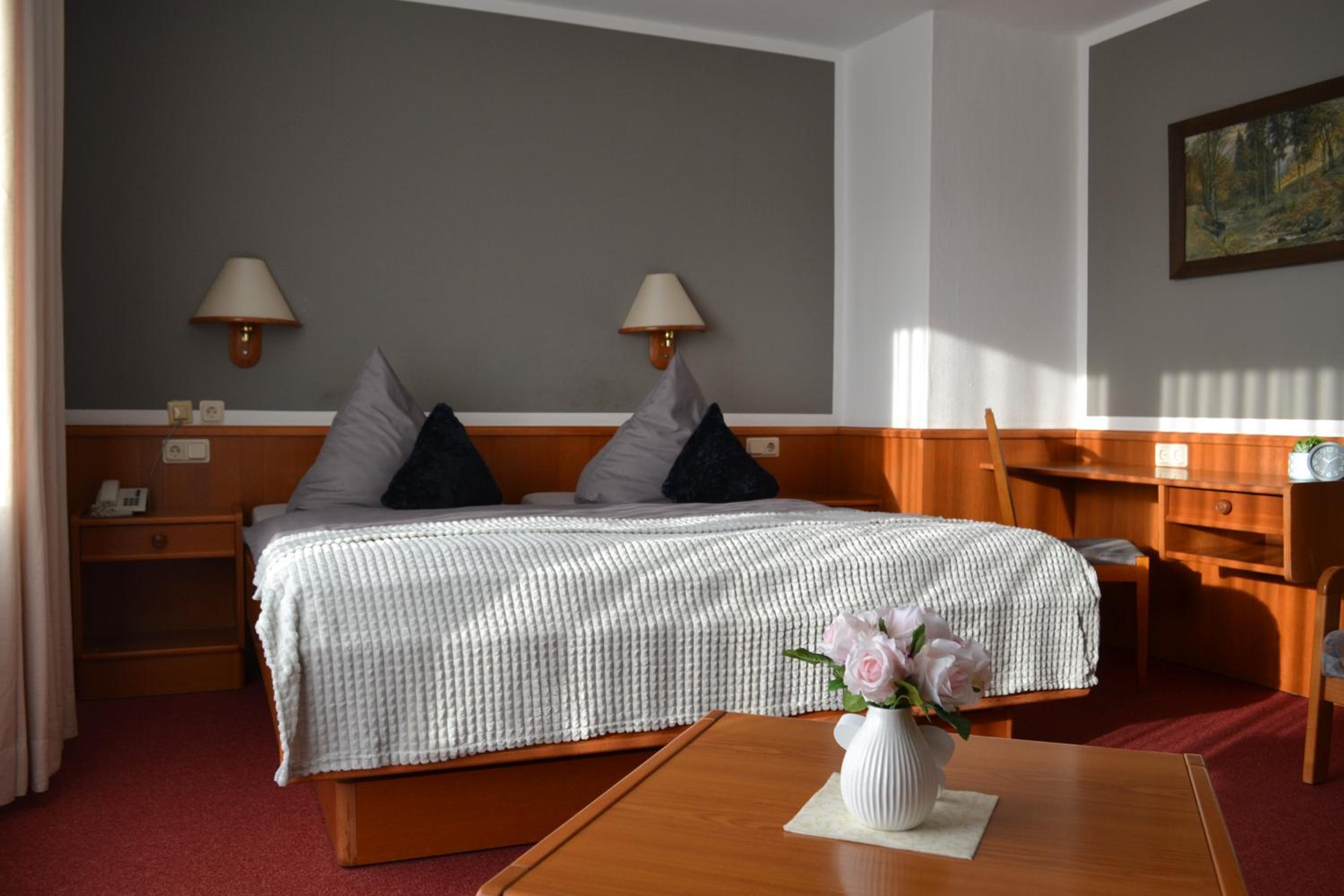 Double or Twin Room photo 1