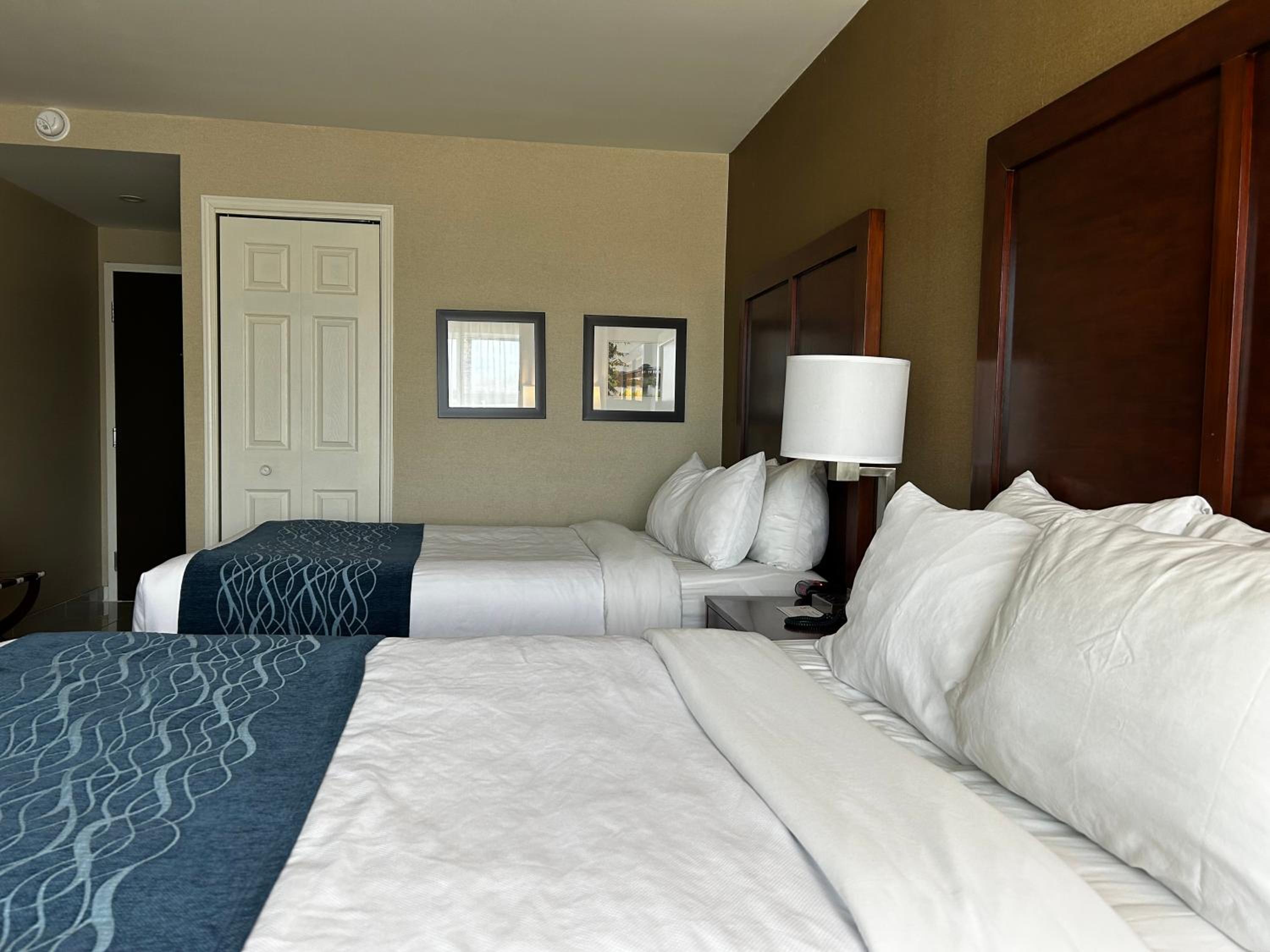 Standard Two Double Room - Photo 6