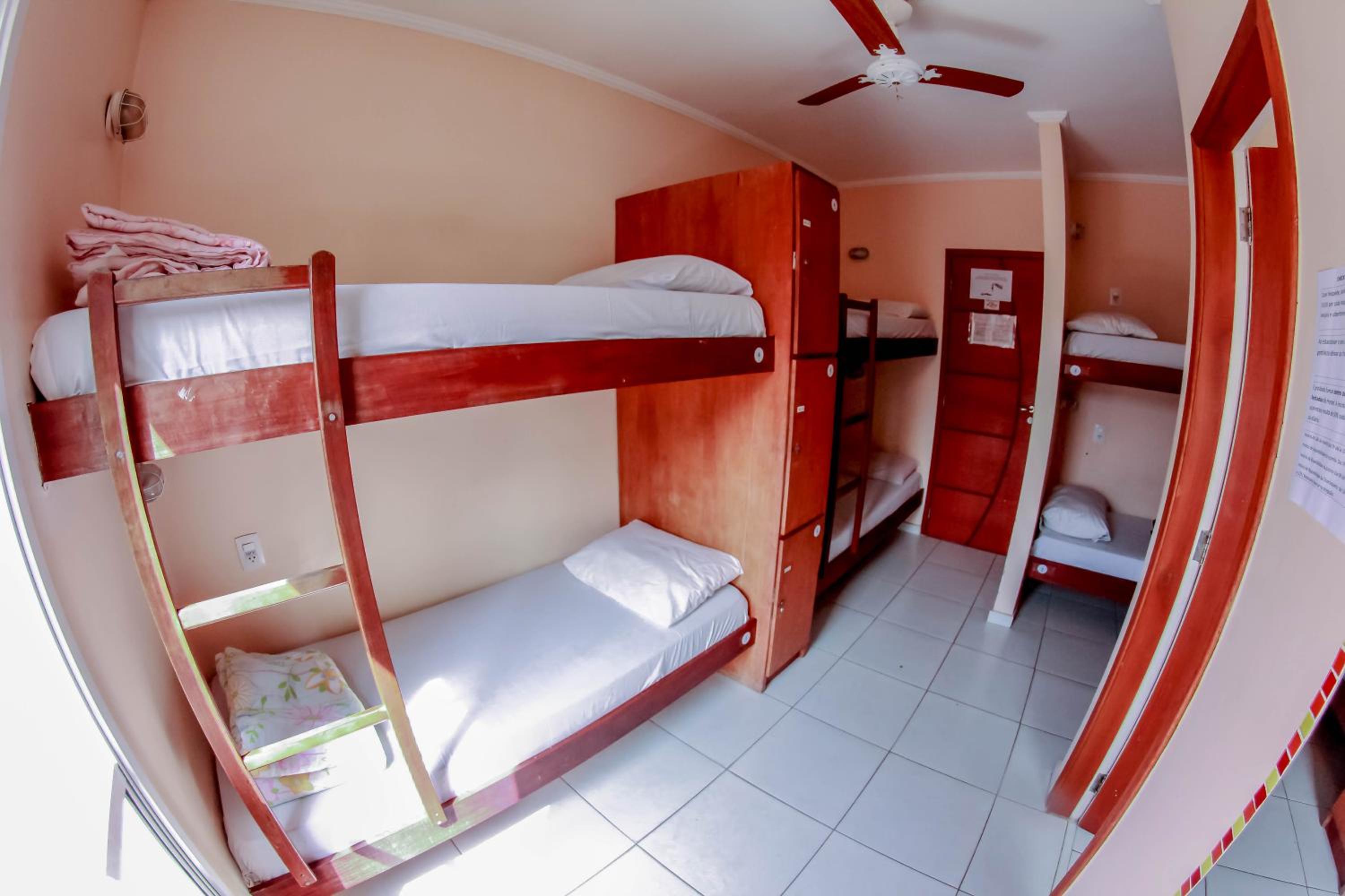 Bunk Bed in Male Dormitory Room photo 3
