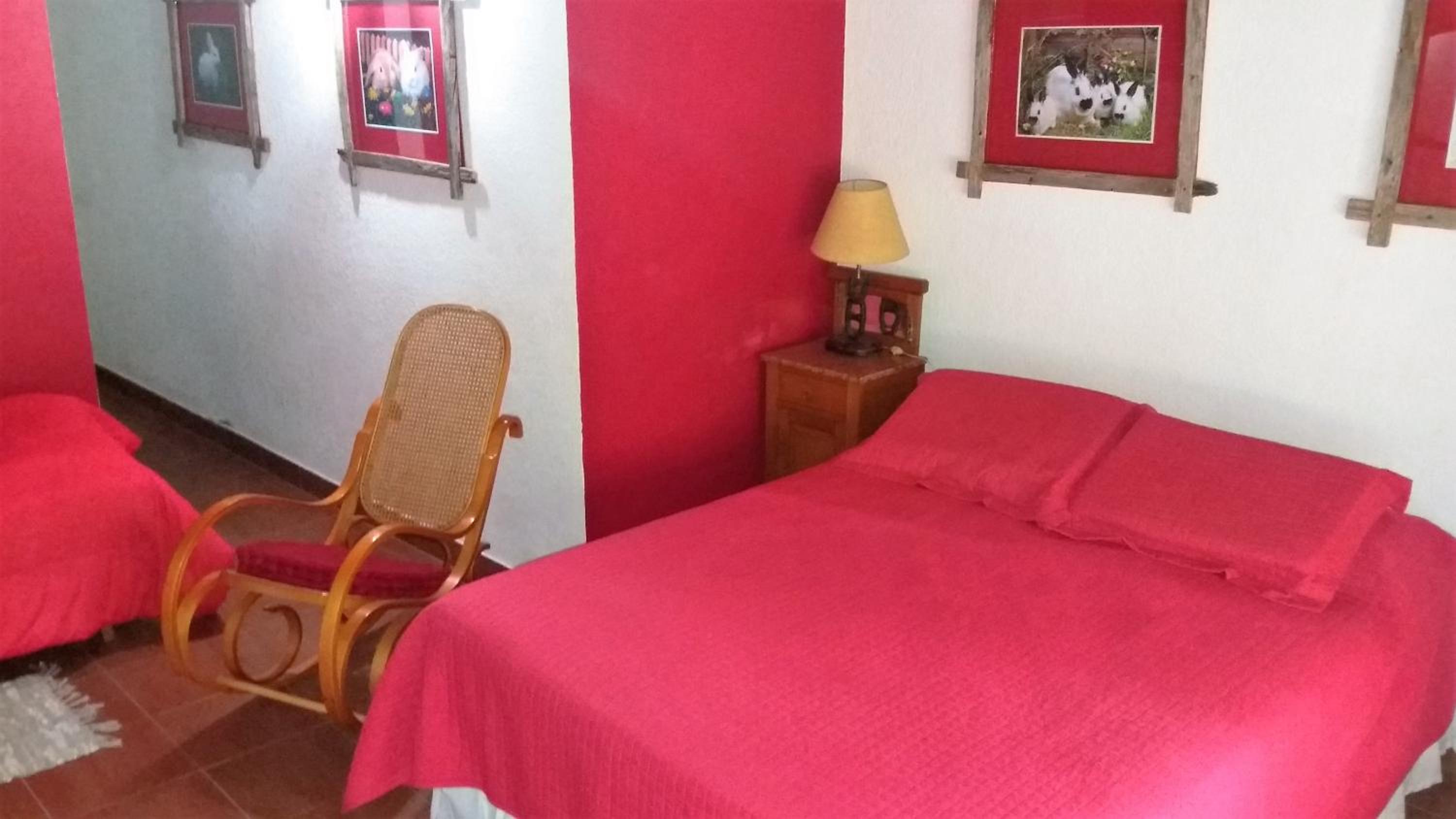 Queen Room photo 3