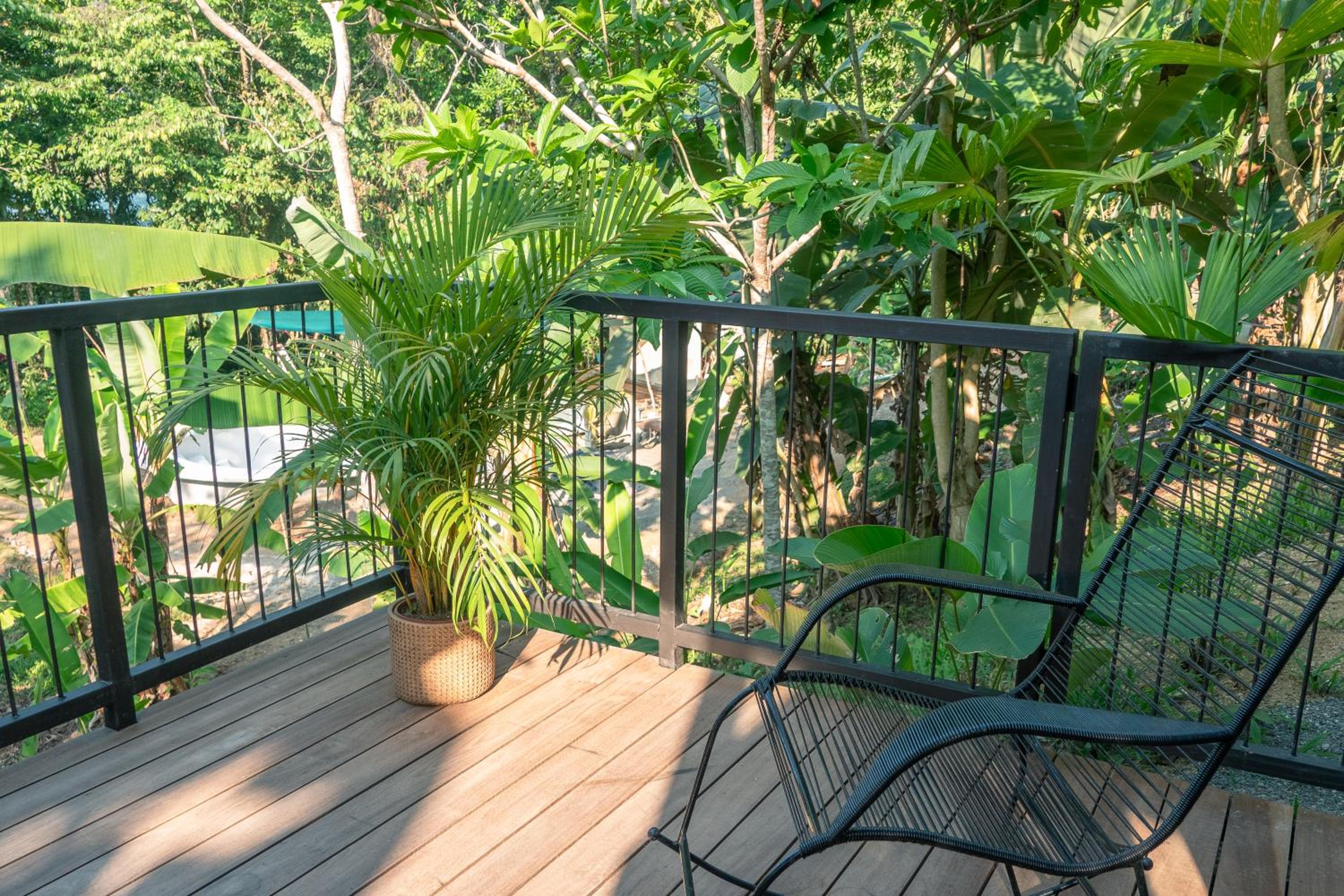 Deluxe Bungalow with Garden View photo 3