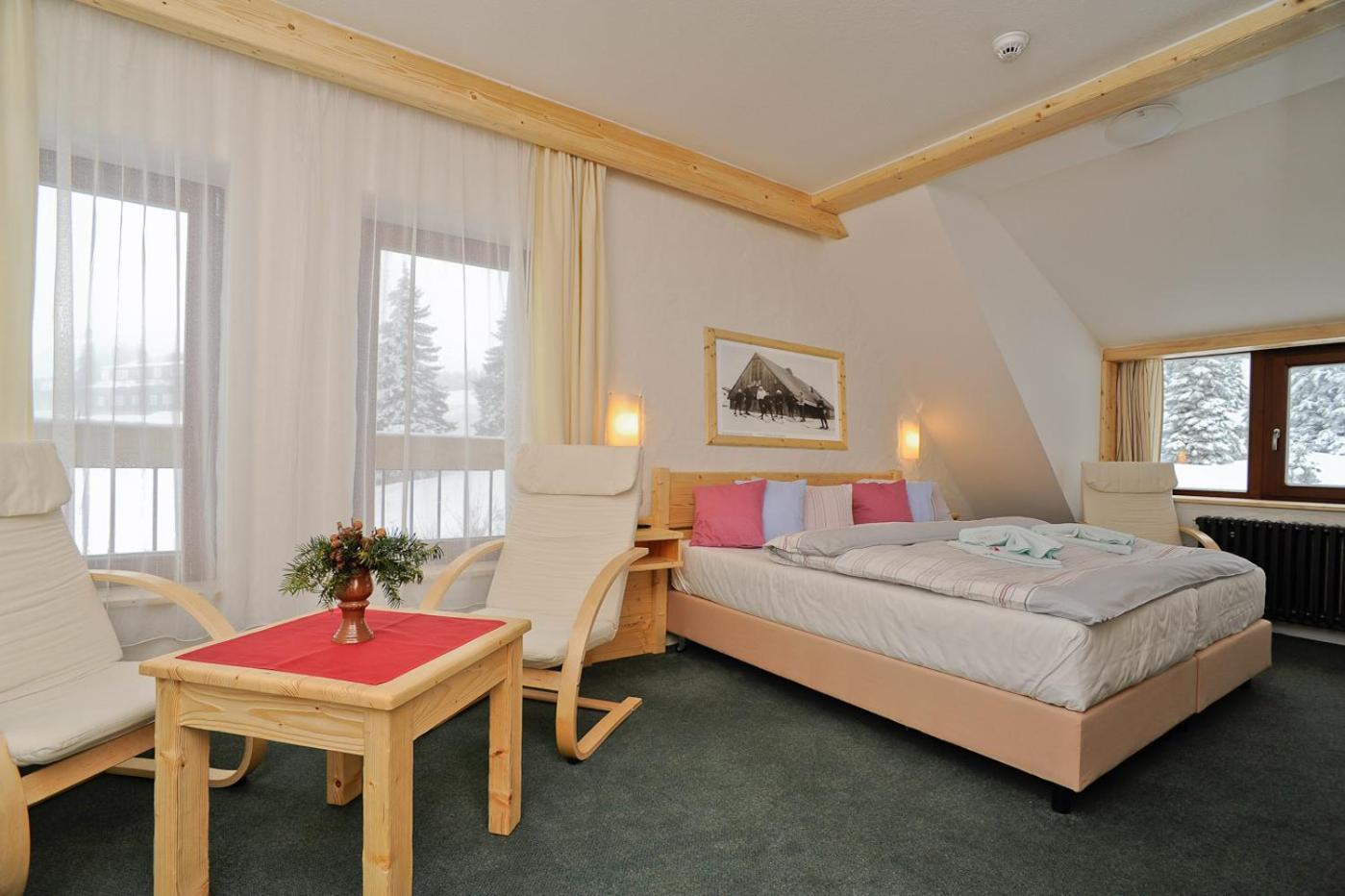 Standard Double or Twin Room with Mountain View photo 2