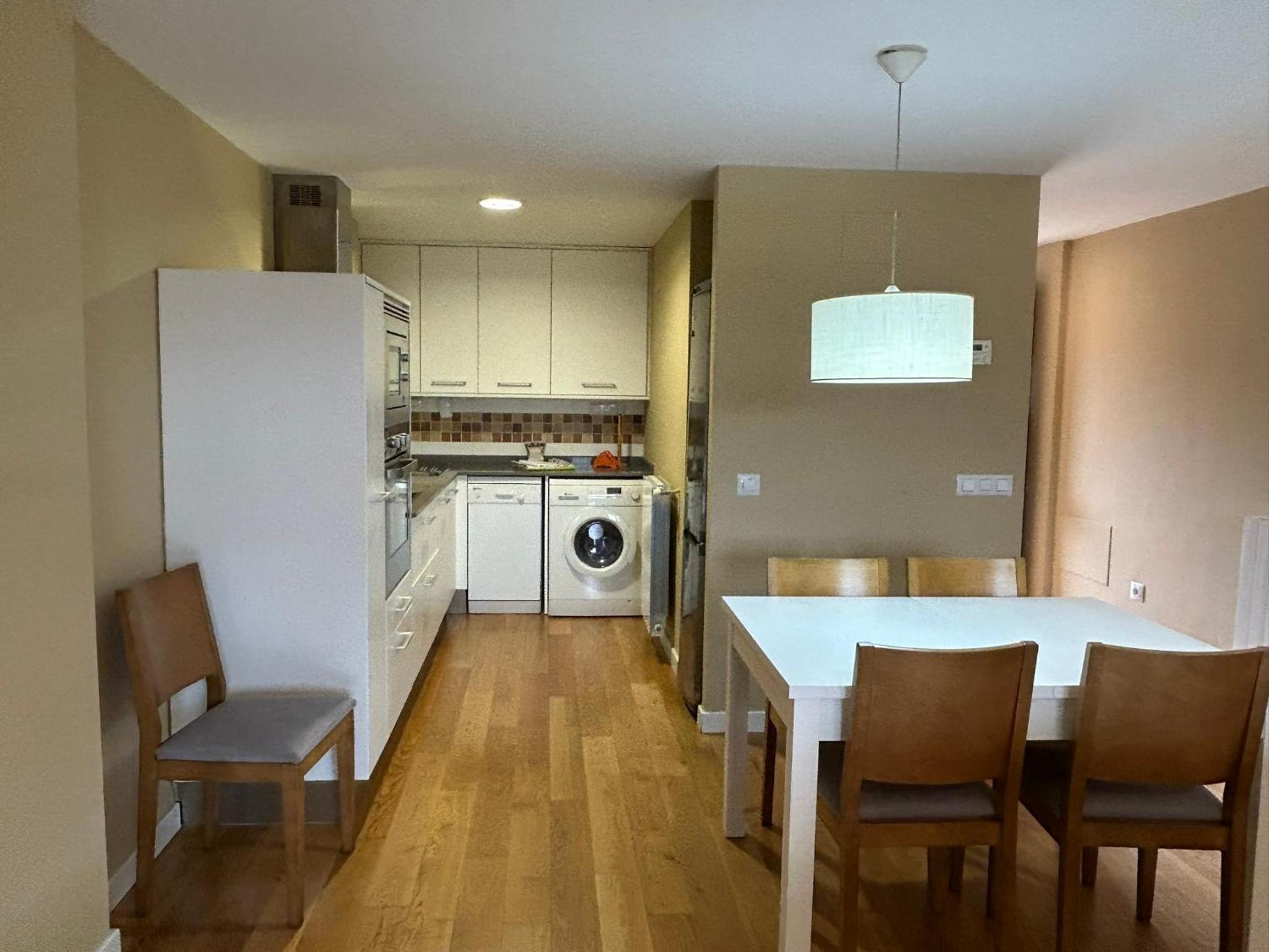 Duplex Apartment photo 3
