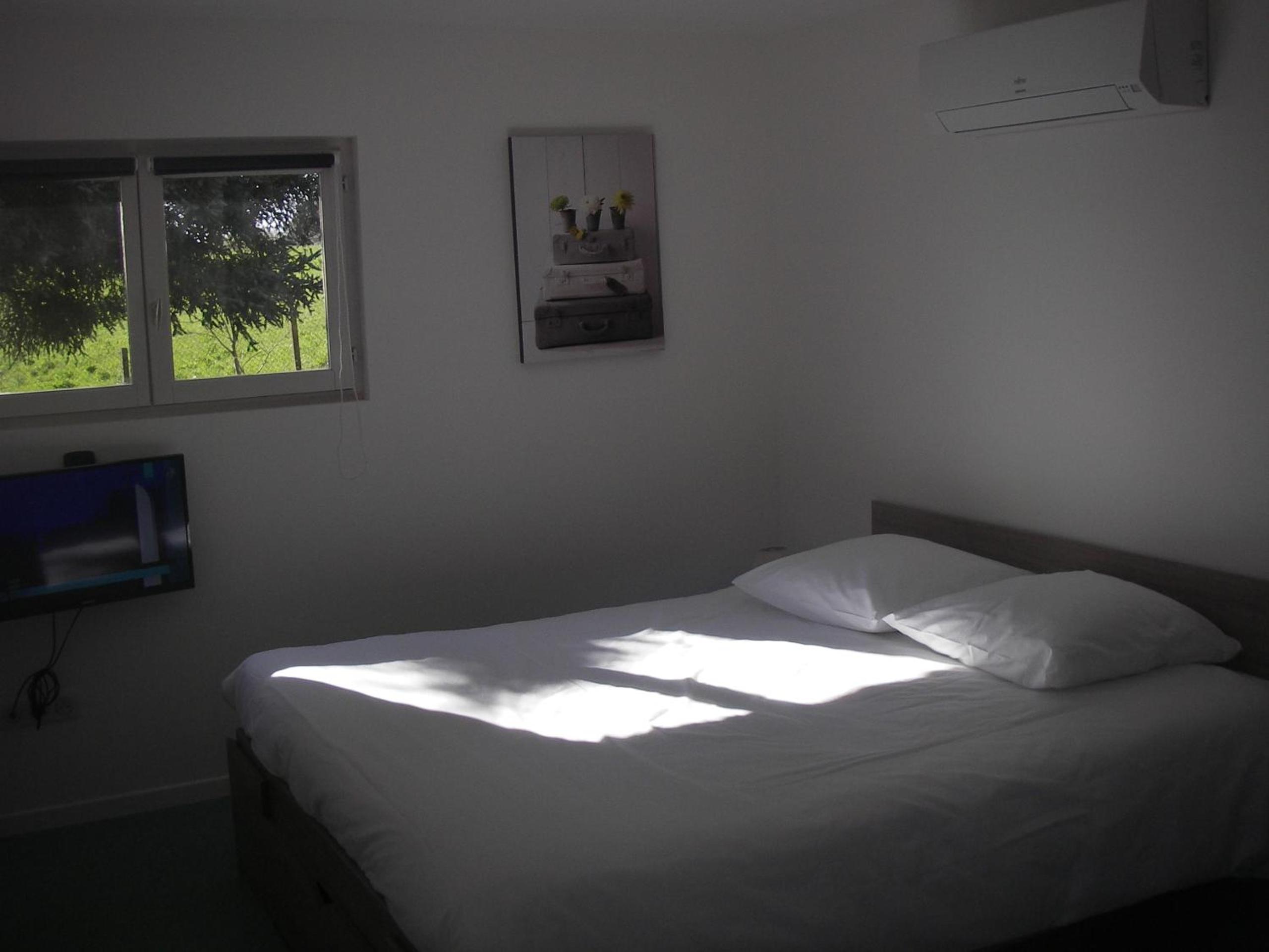Studio with Garden View photo 3
