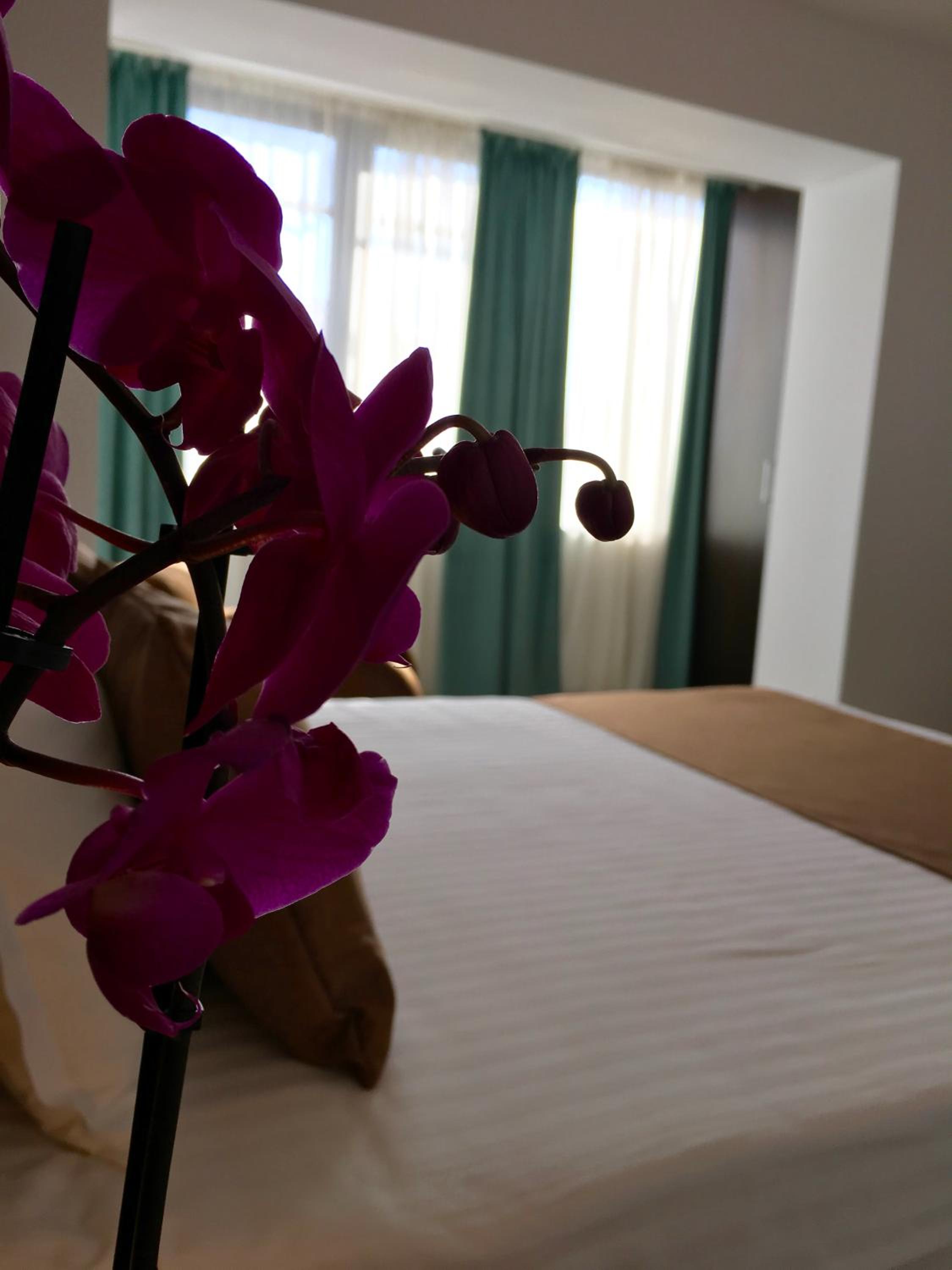 One-Bedroom Apartment - Photo 16