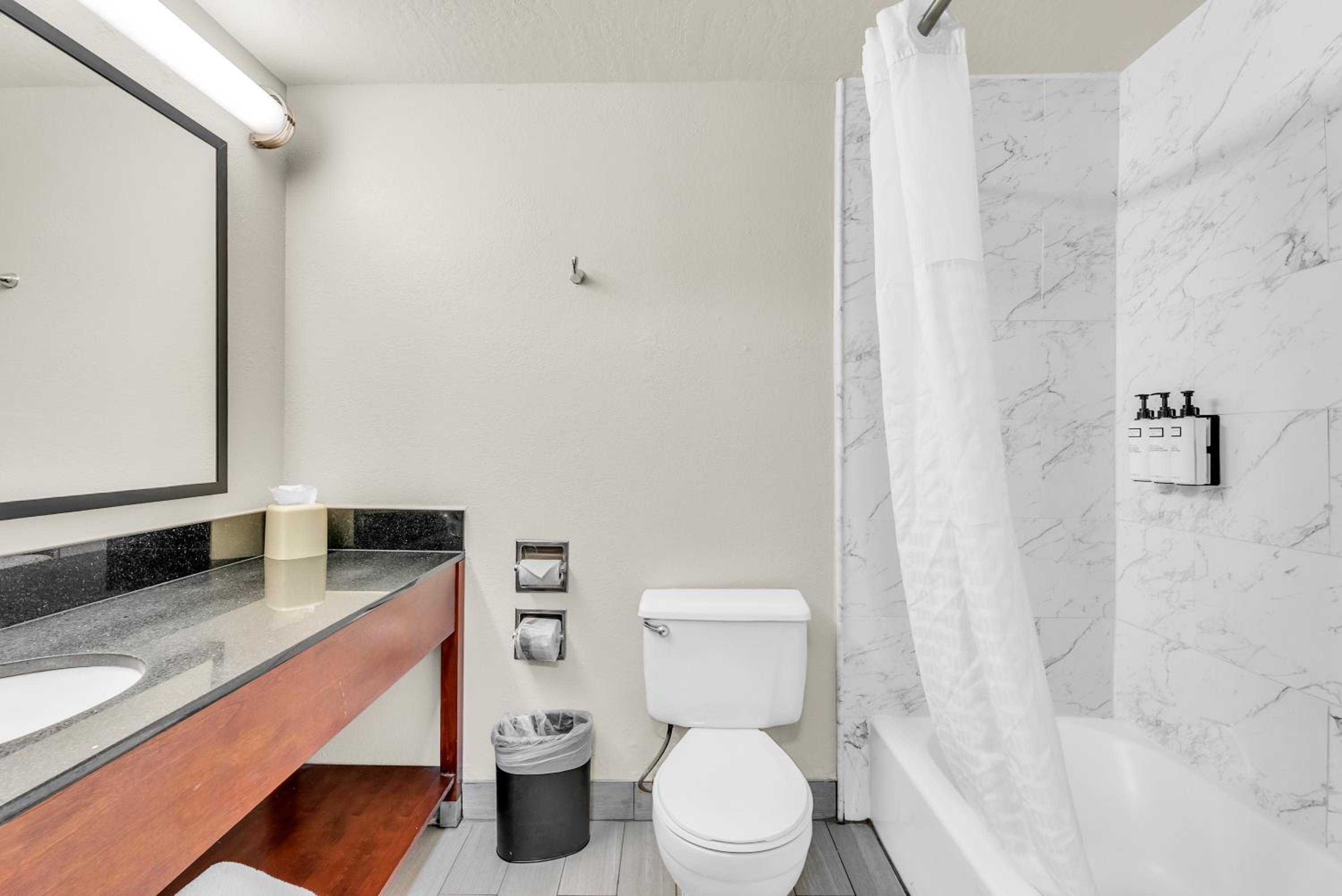 King One-Bedroom Executive Suite, Non-Smoking - Photo 8