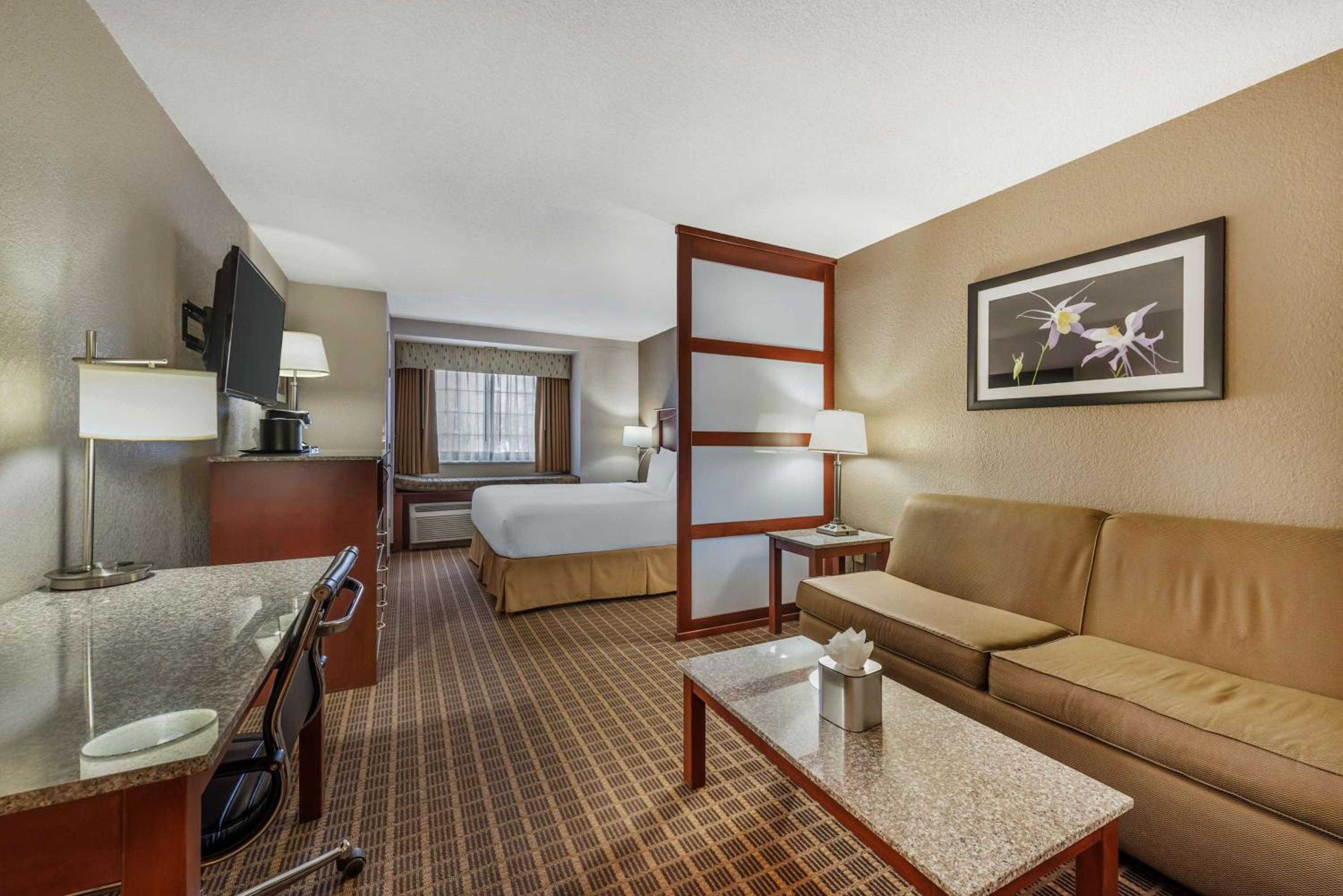 King Suite - Pet-Friendly - Photo 1