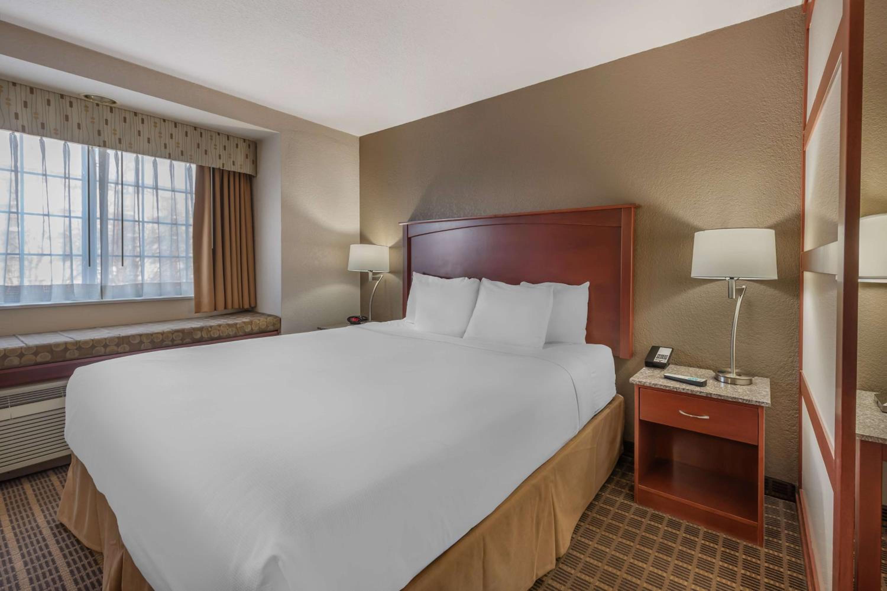 King Suite - Pet-Friendly - Photo 3