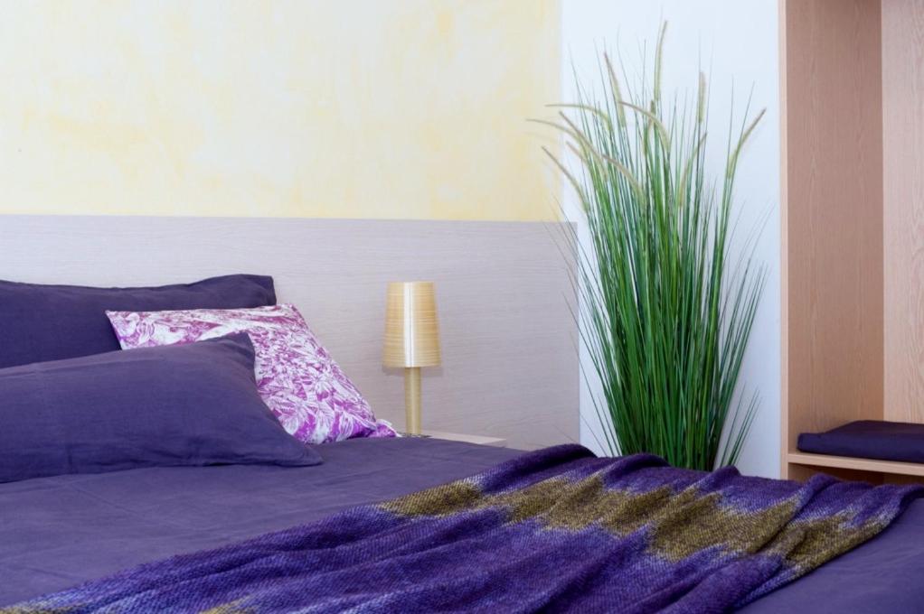 Budget Double Room with Air Conditioning photo 2
