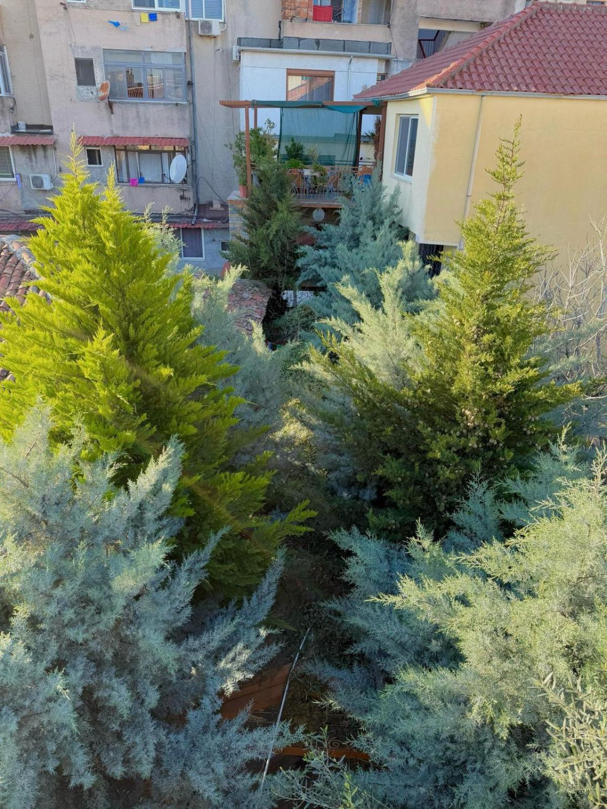 Triple Room with Balcony photo 2