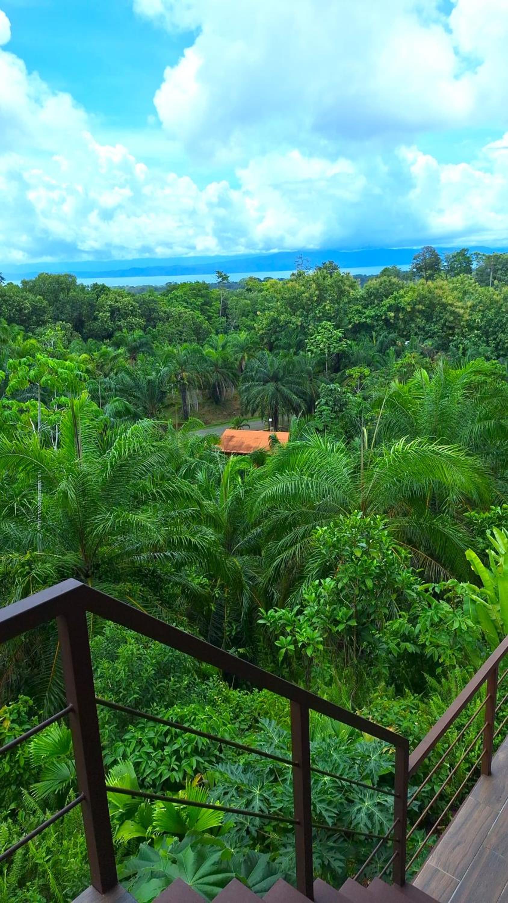Villa with Sea View photo 1