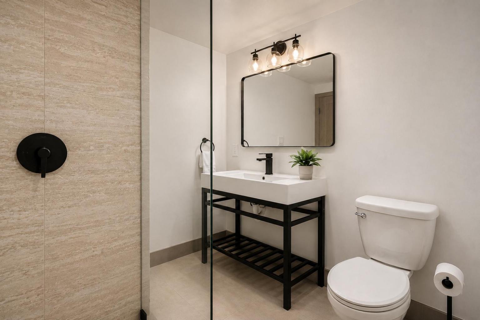 Deluxe One-Bedroom Apartment