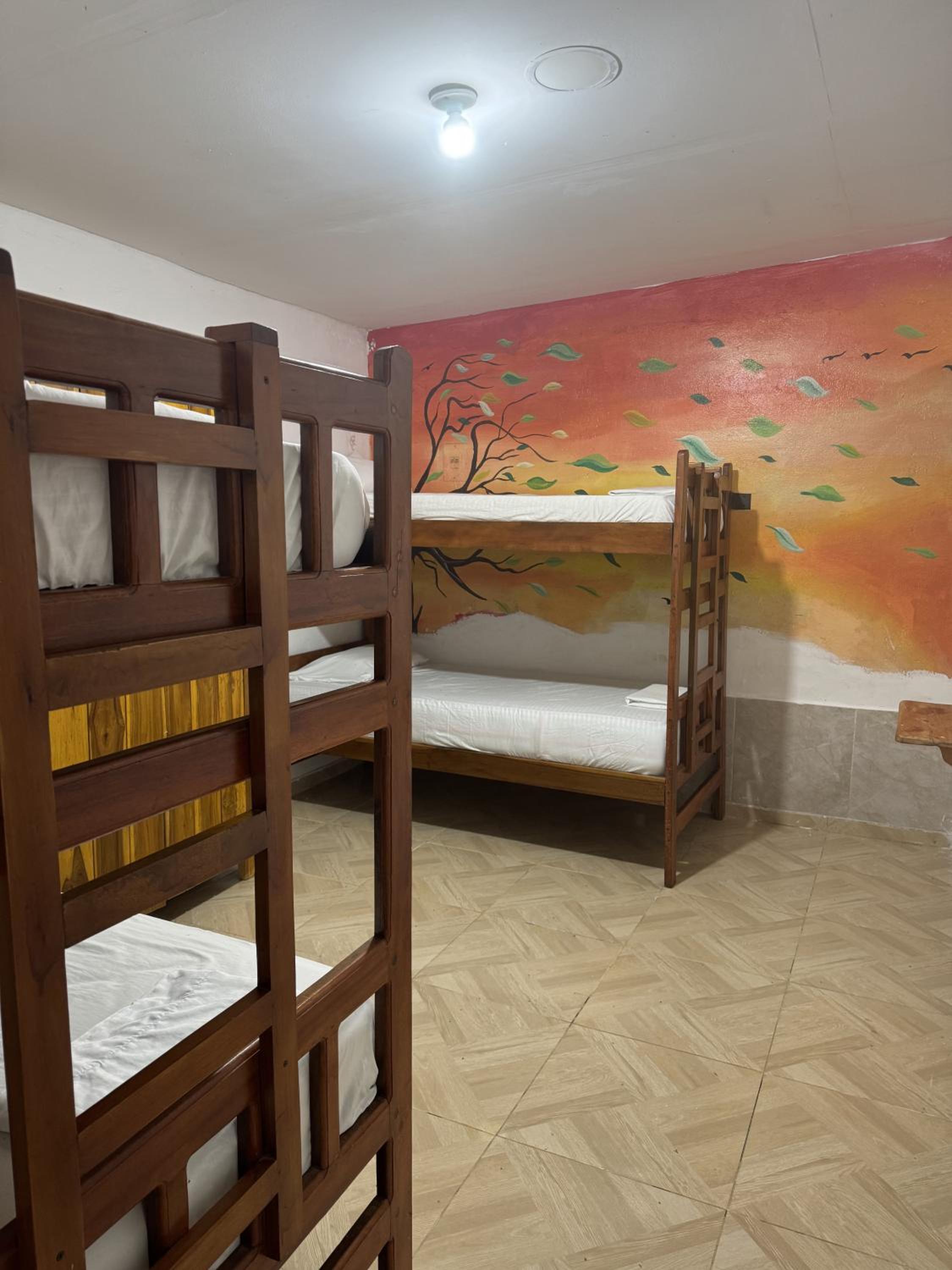 Bed in 8-Bed Mixed Dormitory Room photo 1