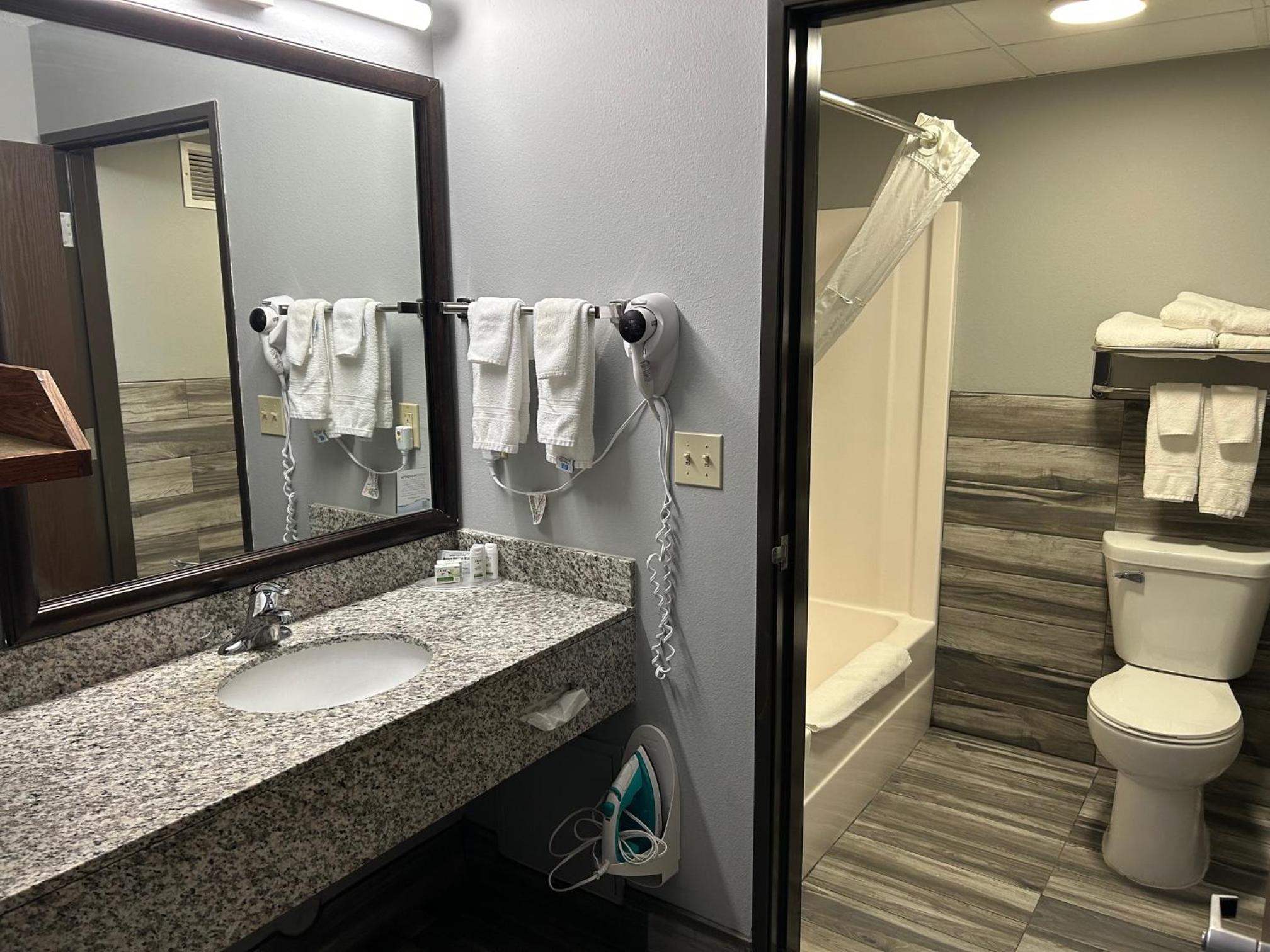 King Room - Pet Friendly/Non-Smoking photo 3