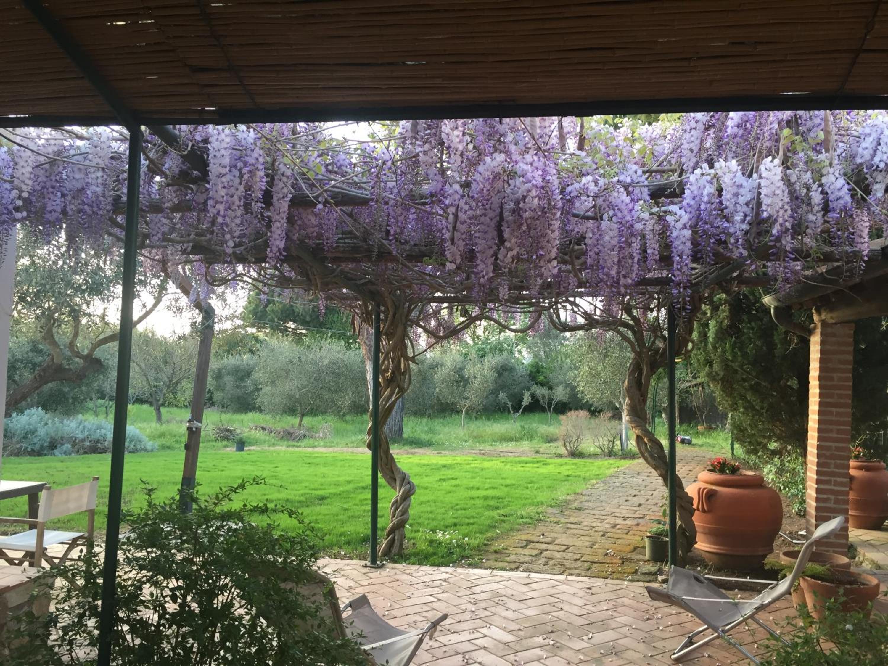 Apartment with Garden View photo 2
