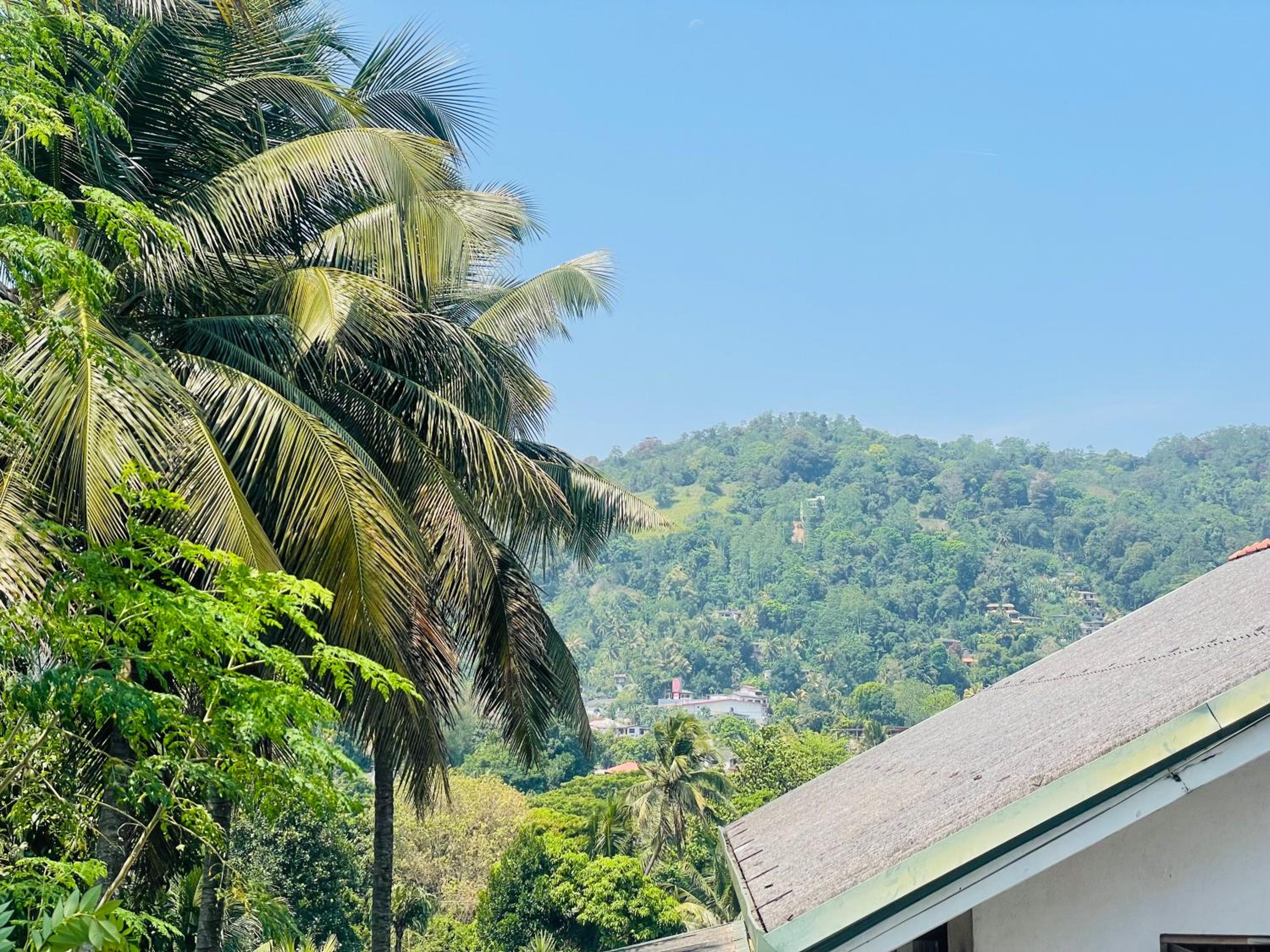 Double Room with Balcony photo 2