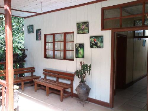 Bed in 4-Bed Dormitory Room photo 1
