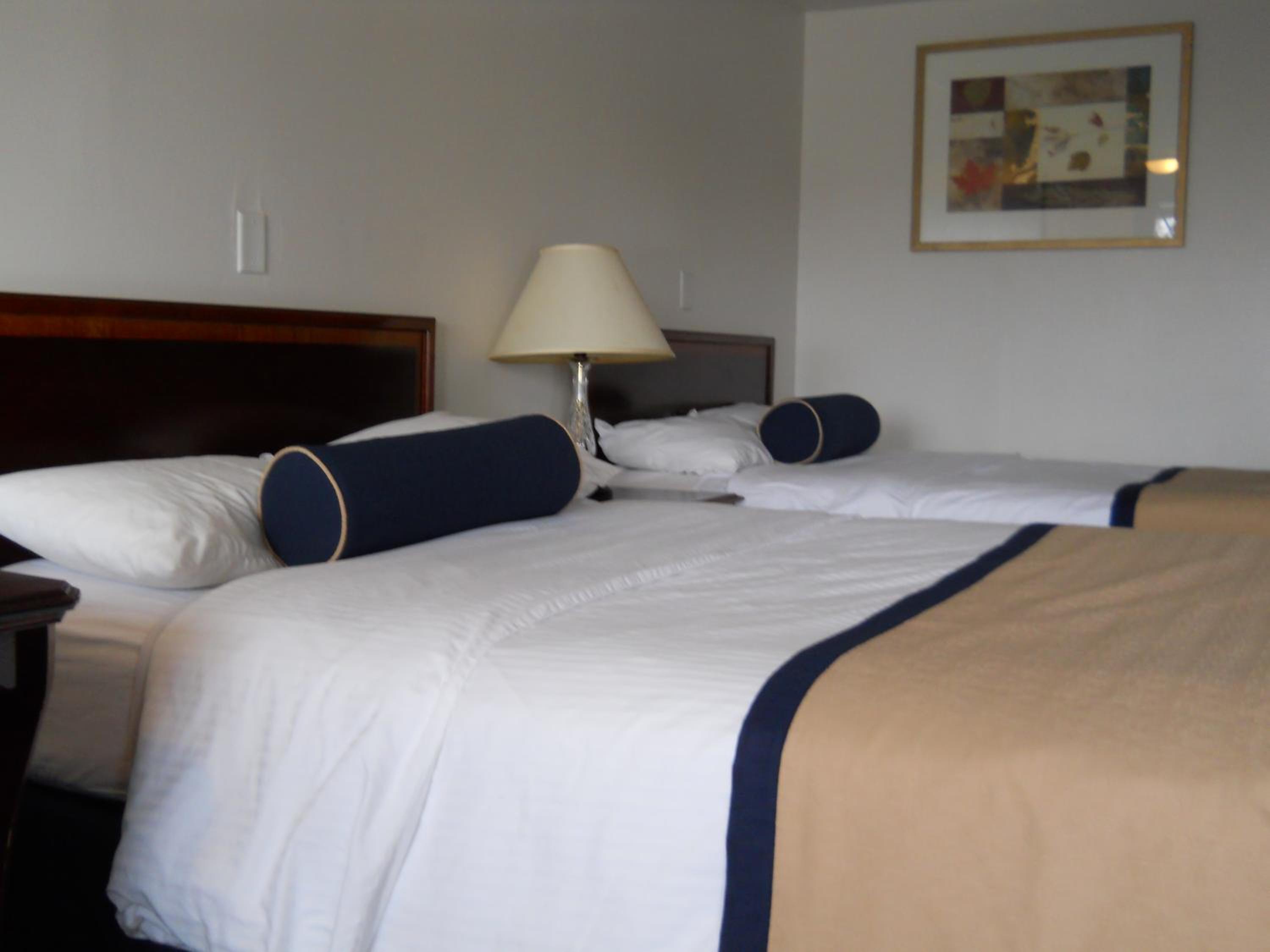Double Room with Two Double Beds