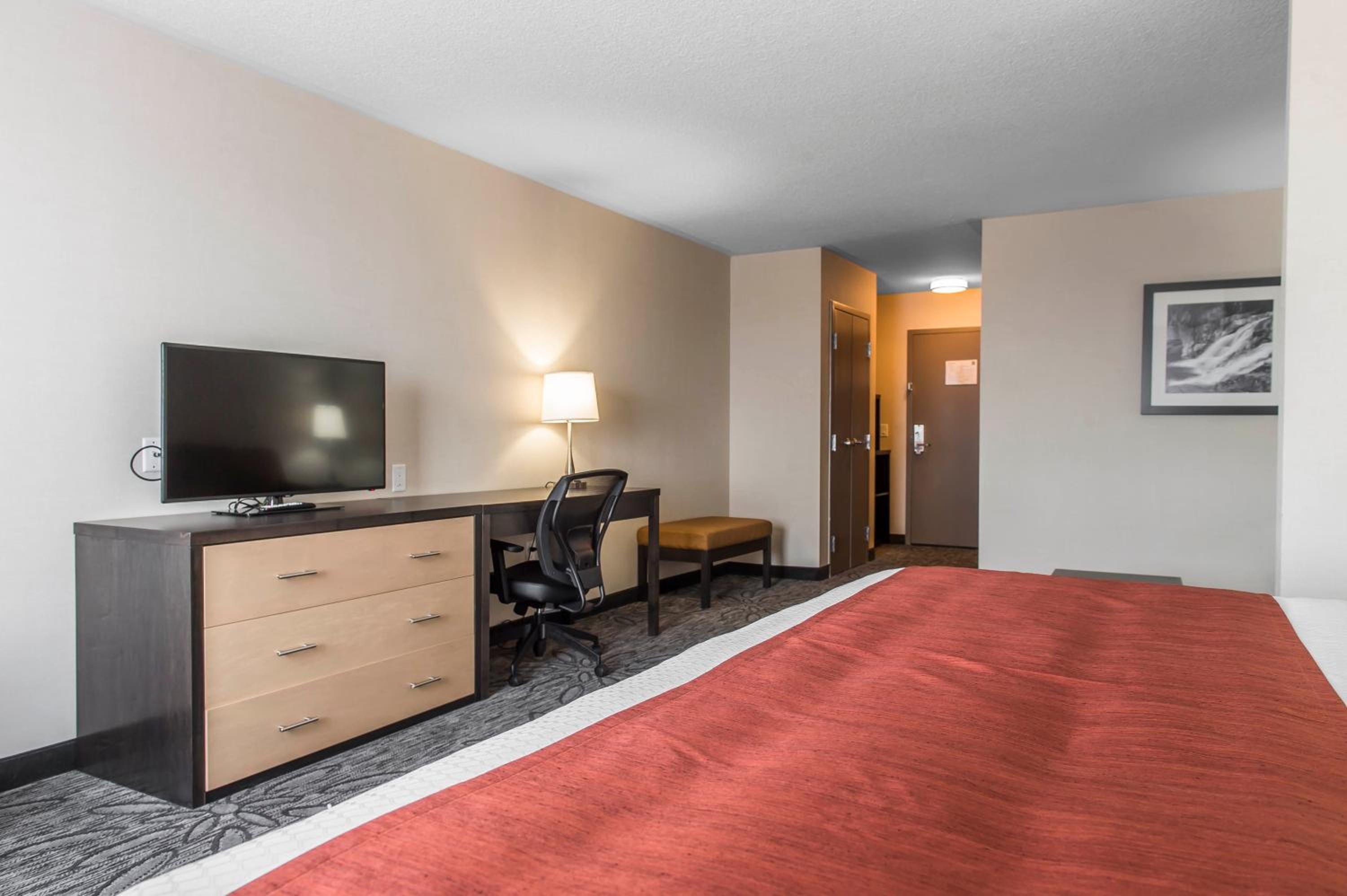 King Suite - Non-Smoking photo 3