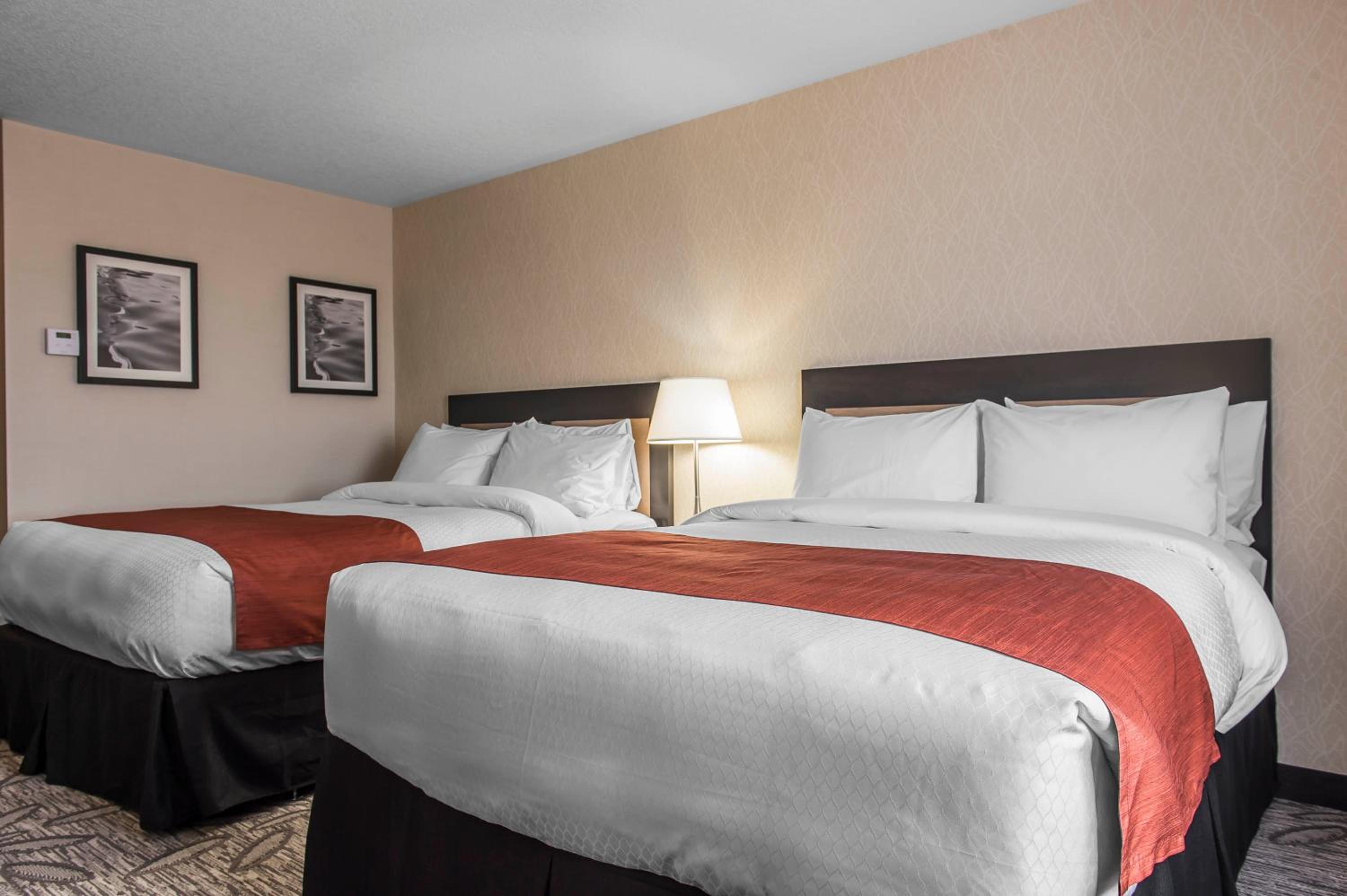 Queen Room with Two Queen Beds - Non-Smoking photo 1