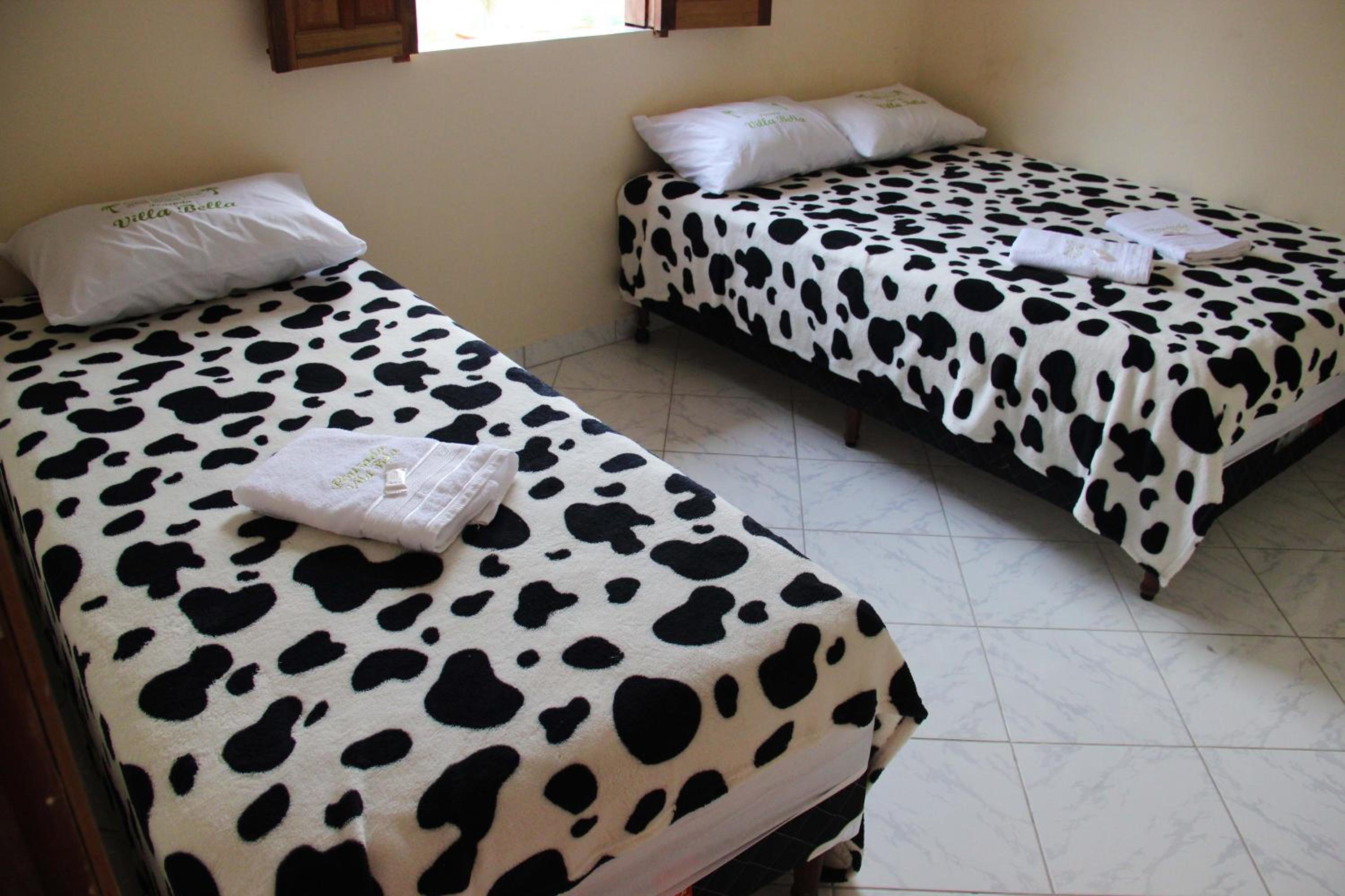 Suite photo 1