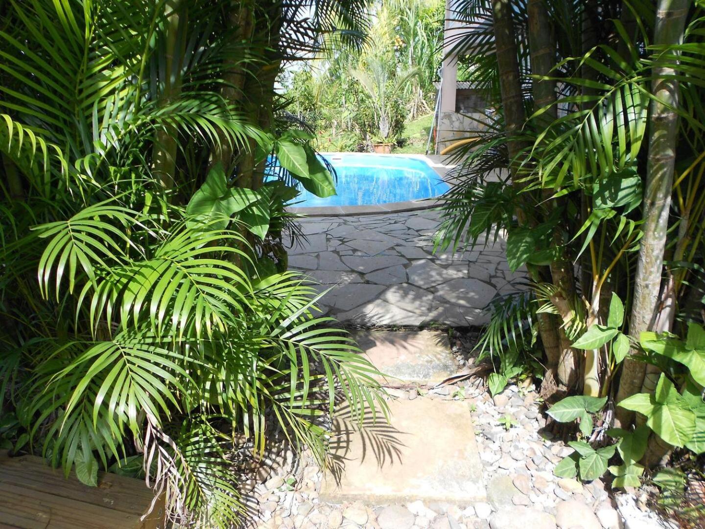 Apartment with Pool View  photo 1
