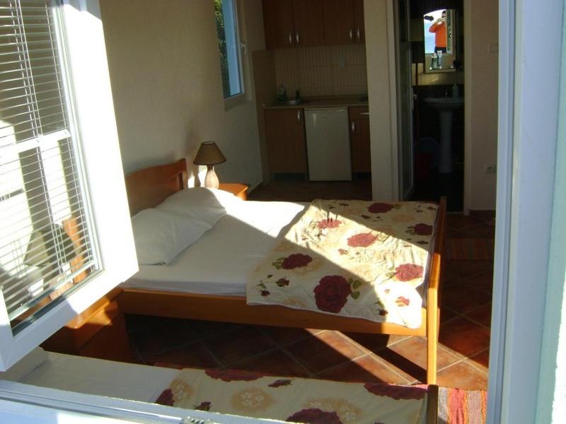 Studio with Sea View and Terrace (3 Adults) - Annex photo 1