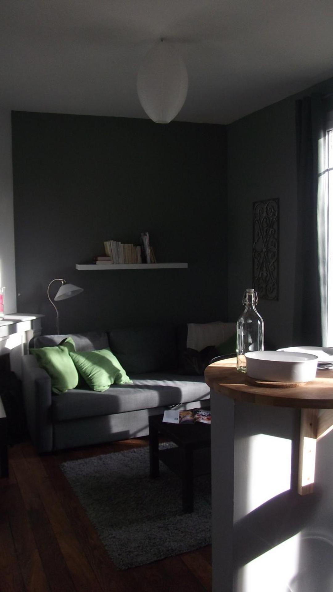 Superior Apartment photo 2