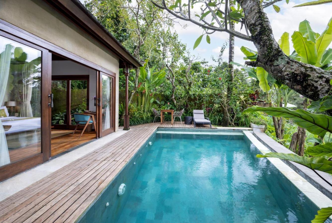Deluxe Villa photo 2