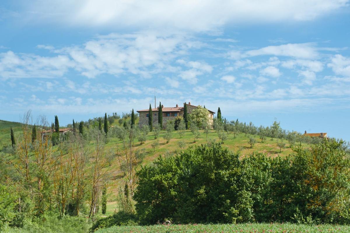 Agriturismo Podere Campaini, Foto 9