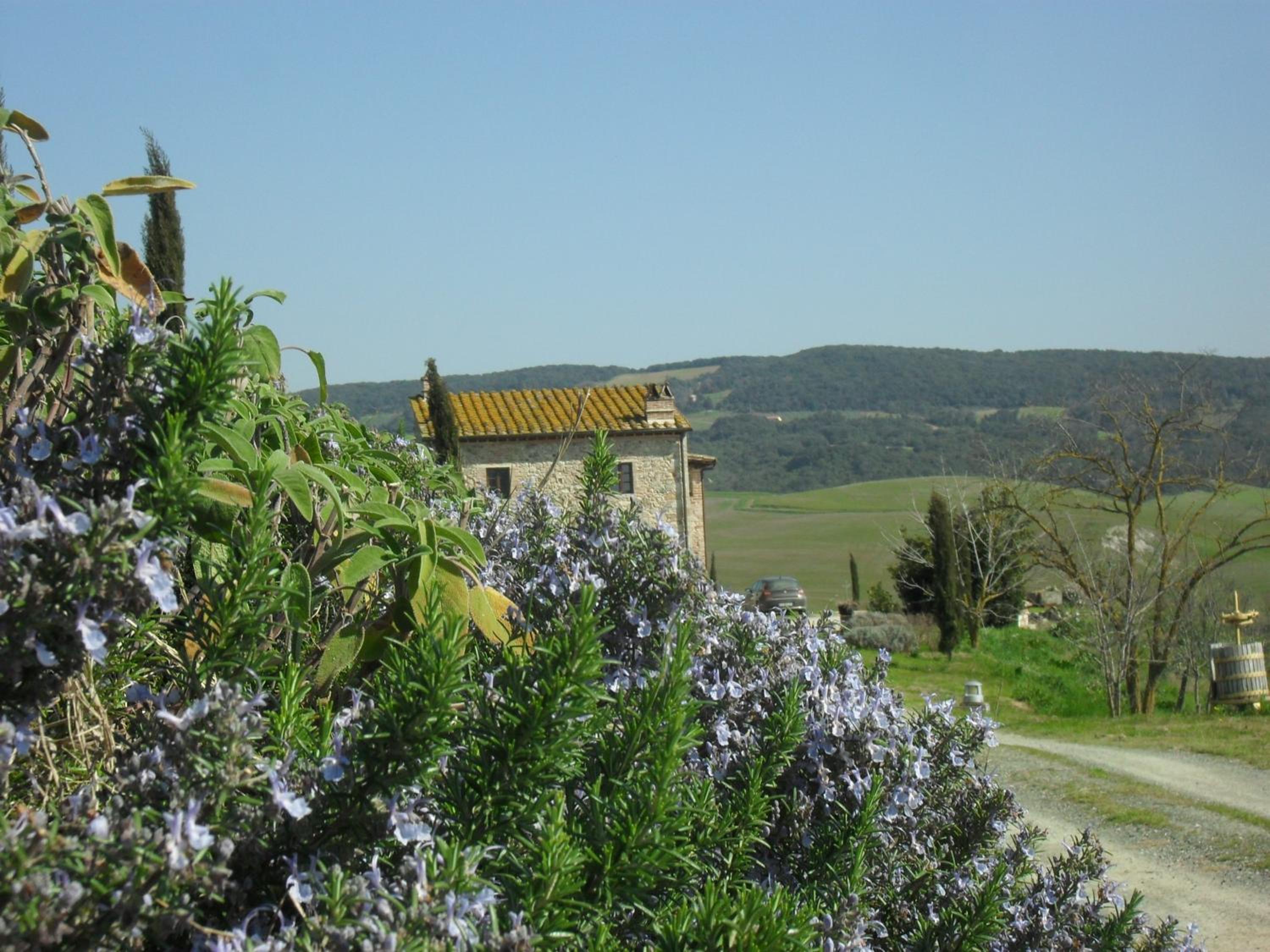 Agriturismo Podere Campaini, Foto 2