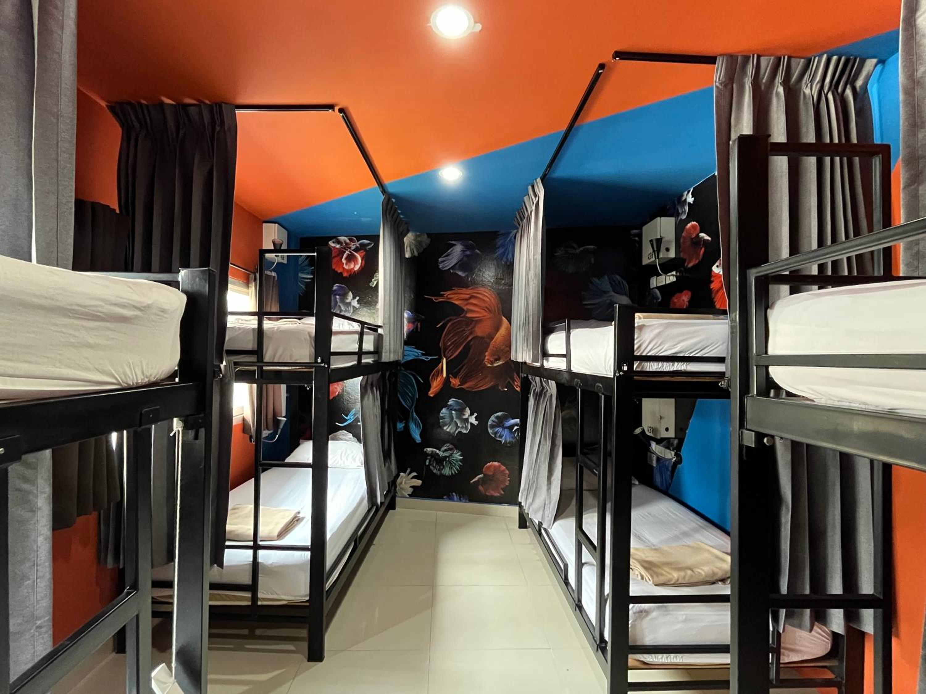 Bed in 8-Bed Mixed Dormitory Room photo 1