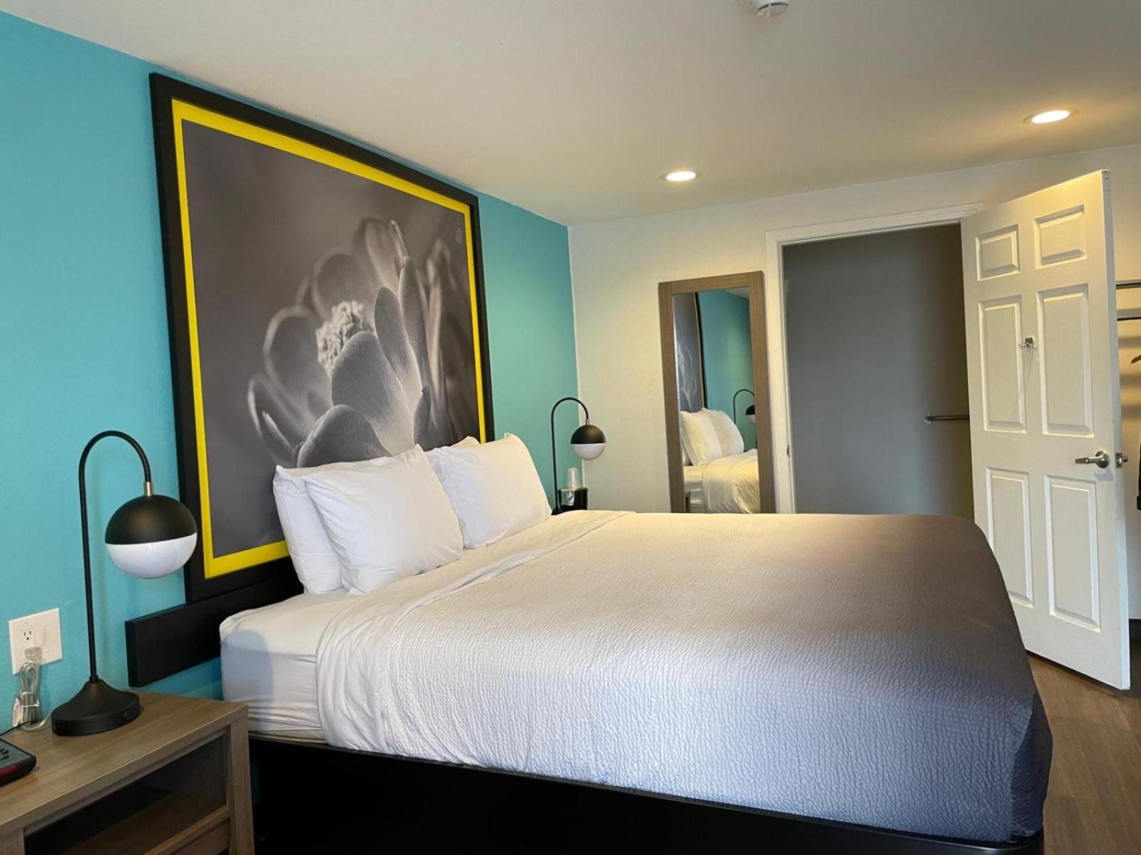 King Room with Roll-in Shower - Mobility Access/Non-Smoking - Photo 3