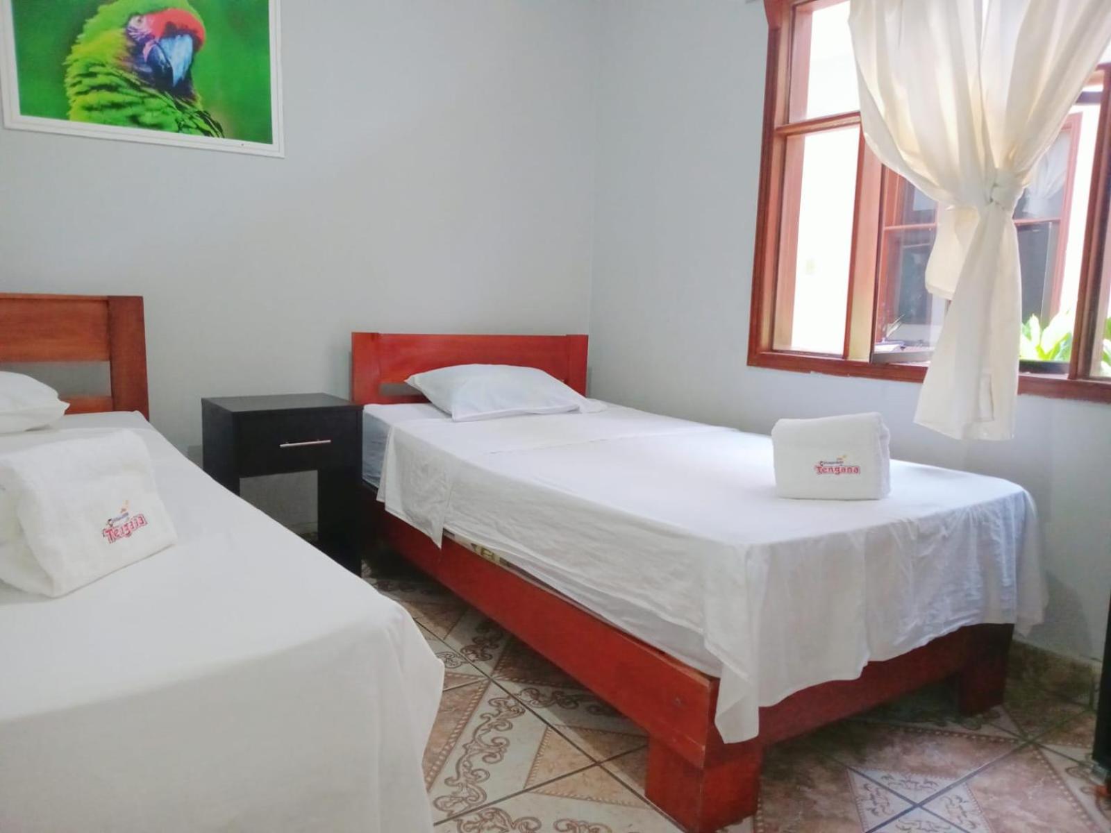 Twin Room photo 1