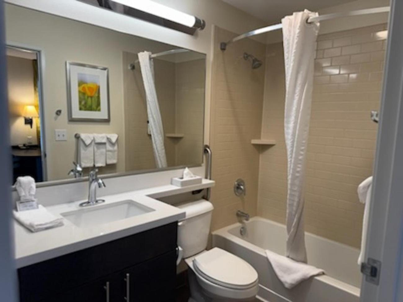 Studio Suite with Two Queen Beds photo 1