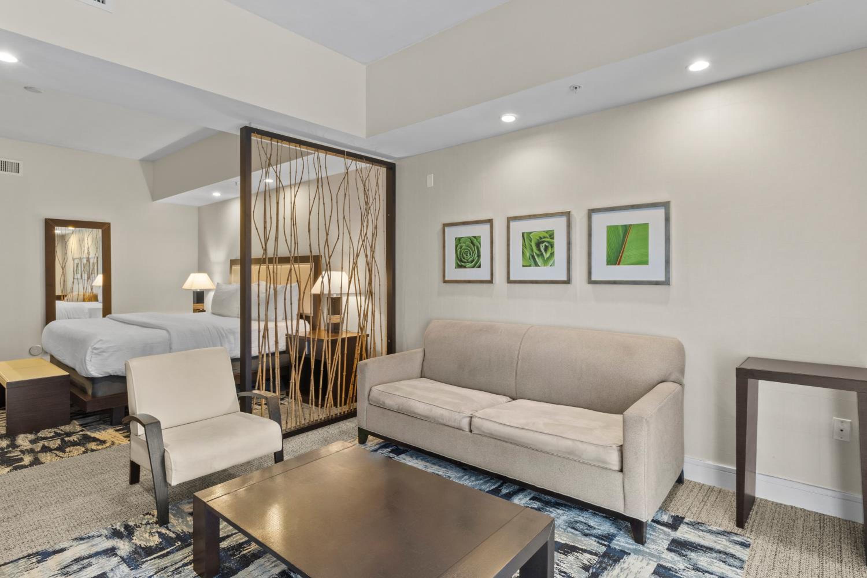 Provident Doral No The Blue, Fotografia 17