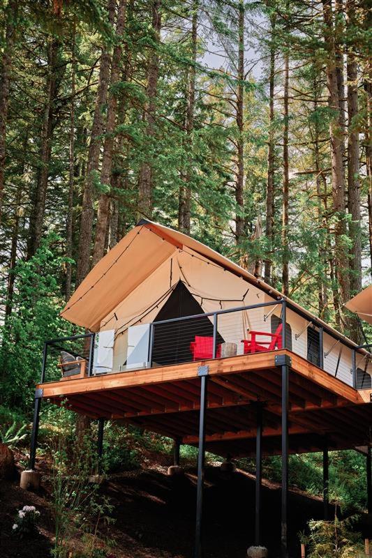 Glamping King - Photo 1