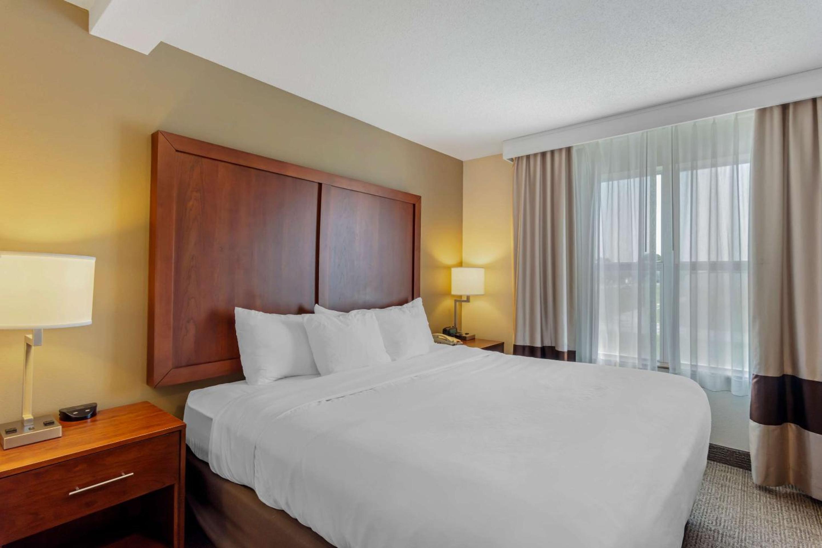 King Suite with Sofa Bed - Non-Smoking - Photo 2