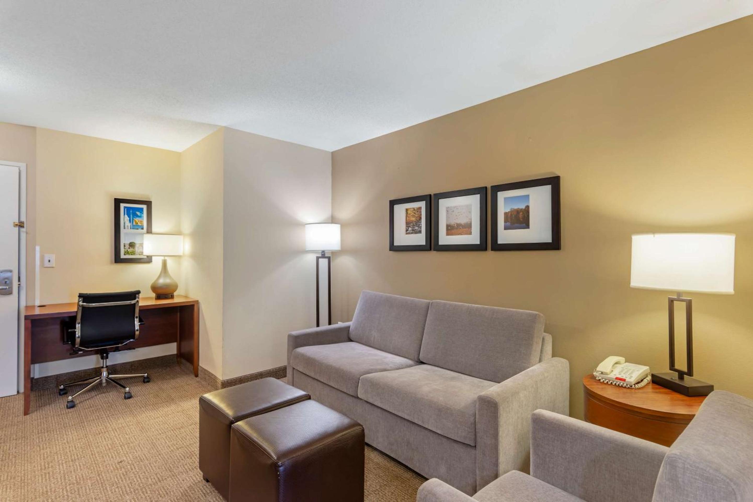King Suite with Sofa Bed - Non-Smoking - Photo 4