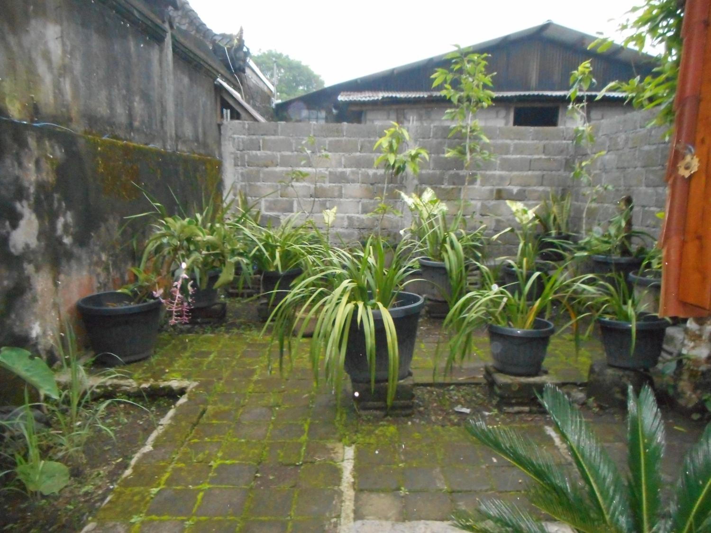 Queen Room with Garden View photo 1