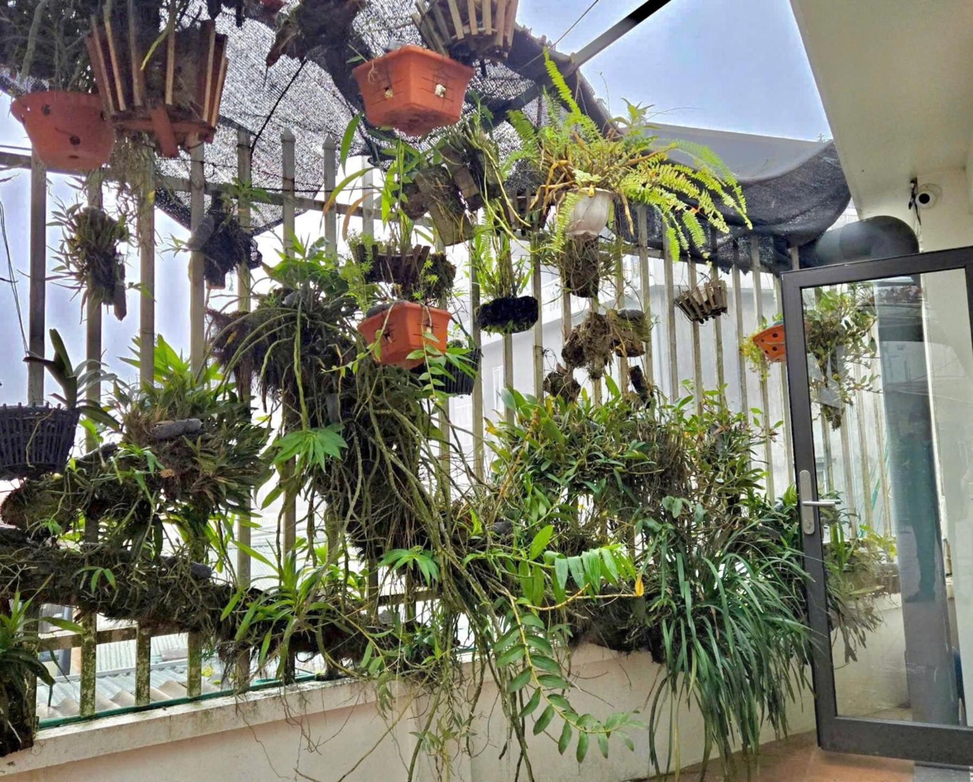 Family Room with Garden View